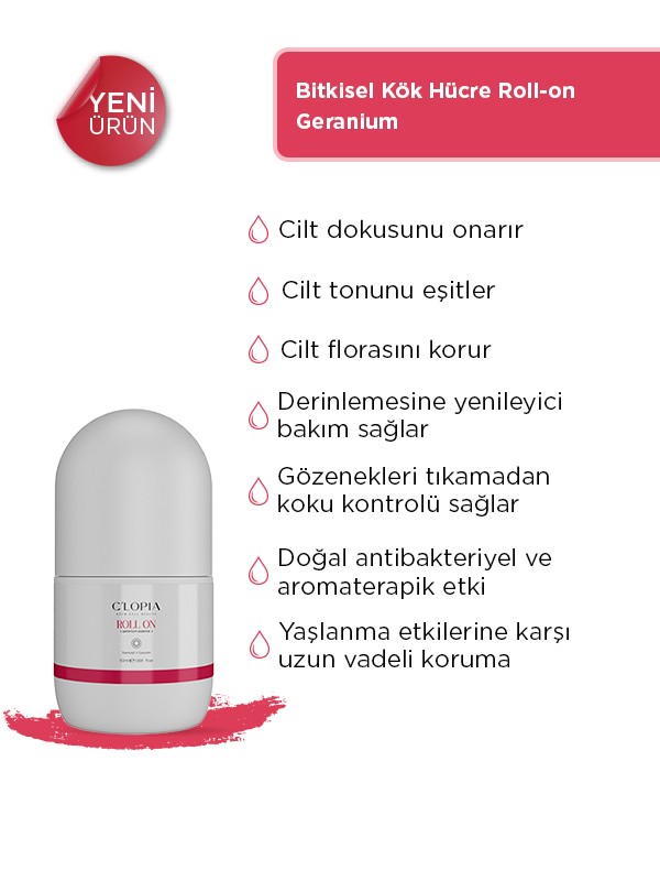 Bitkisel Kök Hücre Roll-on Set