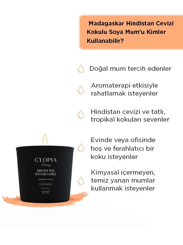  Madagaskar Hindistan Cevizi Kokulu Soya Mum - Siyah