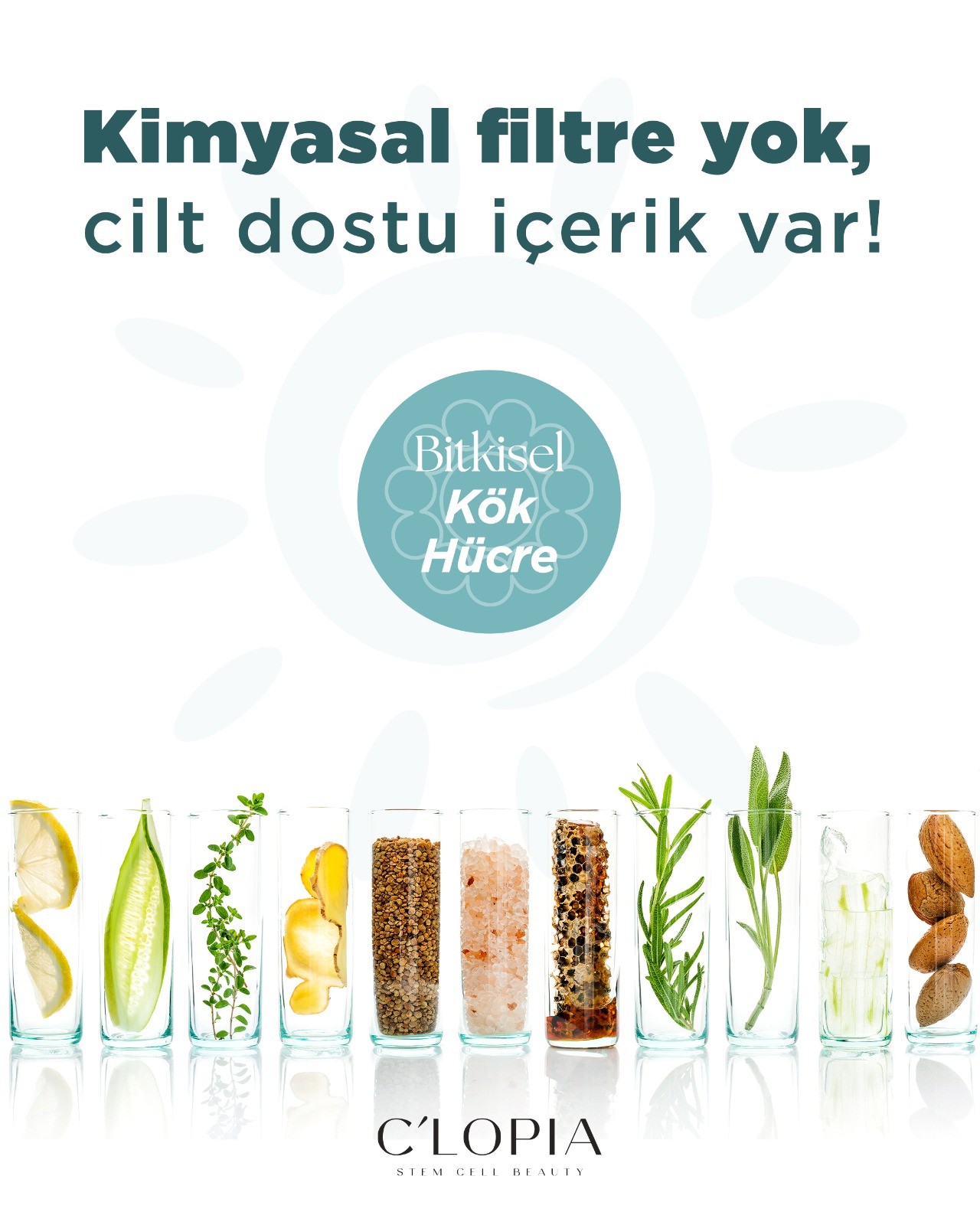 Bitkisel Kök Hücre Yüz Güneş Kremi SPF 50+