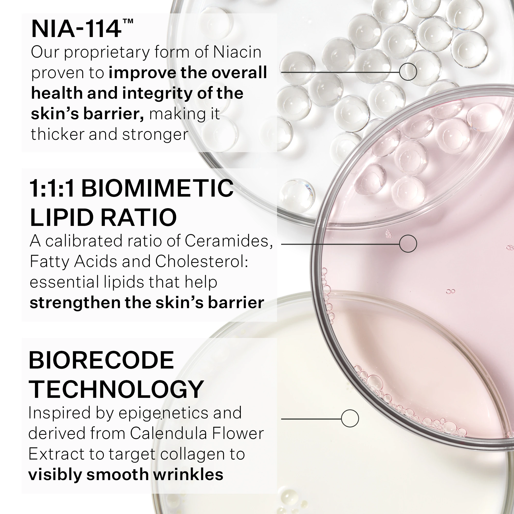 Anti Wrinkle Wrinkle Recode Moisture Rich Barrier Cream 50 ml