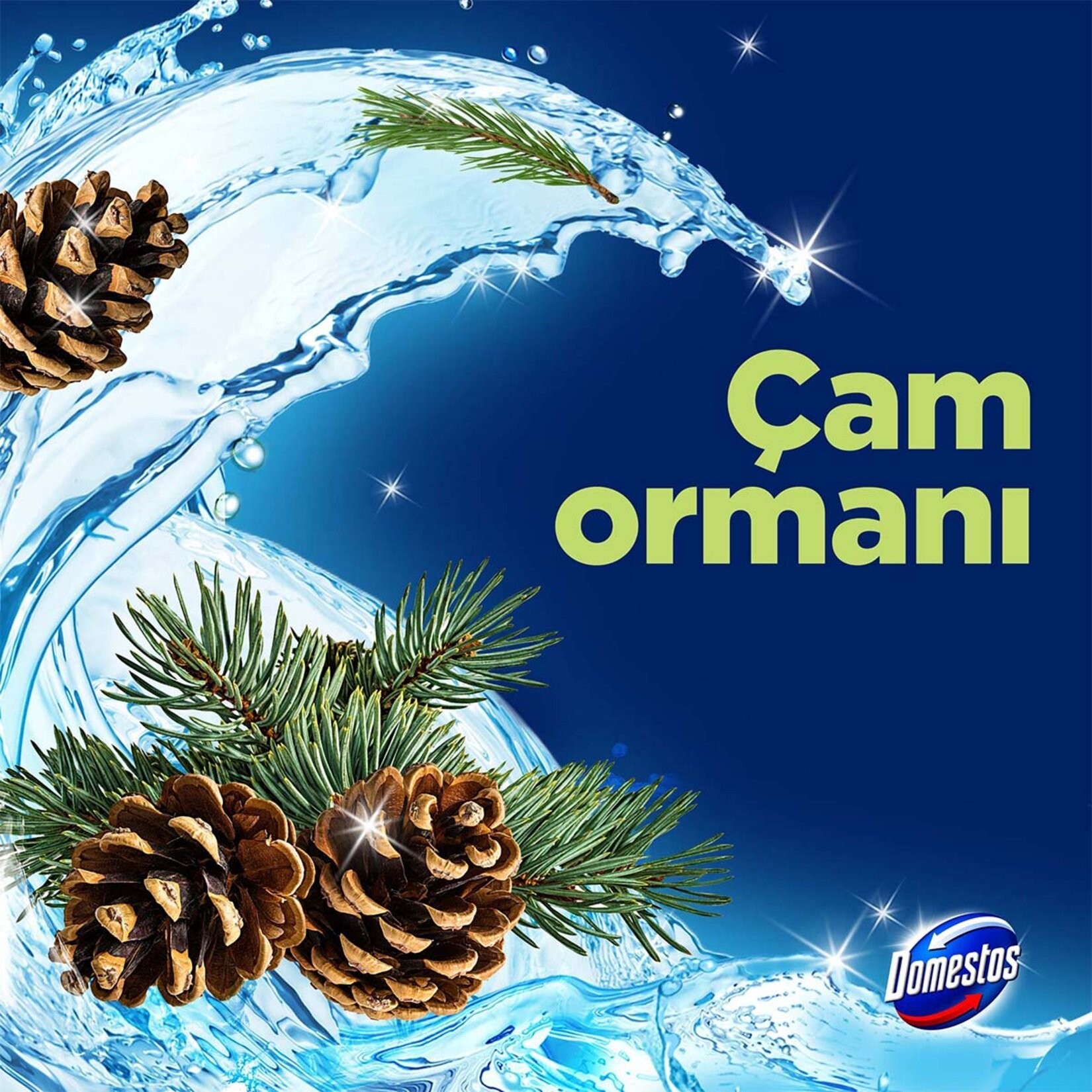Domestos Wc Blok 5'li Güç Tuvalet Bloğu Çam Ferahlığı 100 GR (2x50 GR)