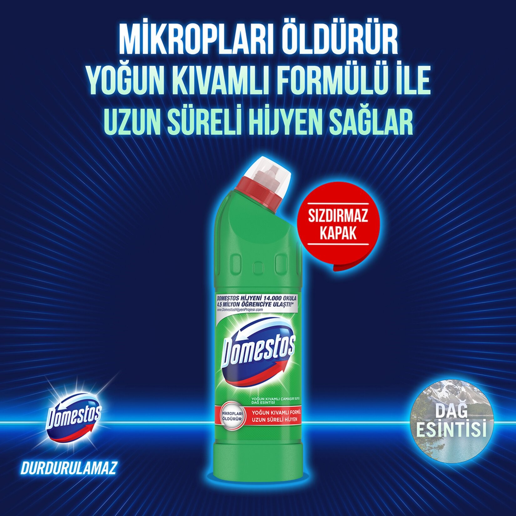 Domestos 750 ml Dağ Esintisi Çamaşır Suyu