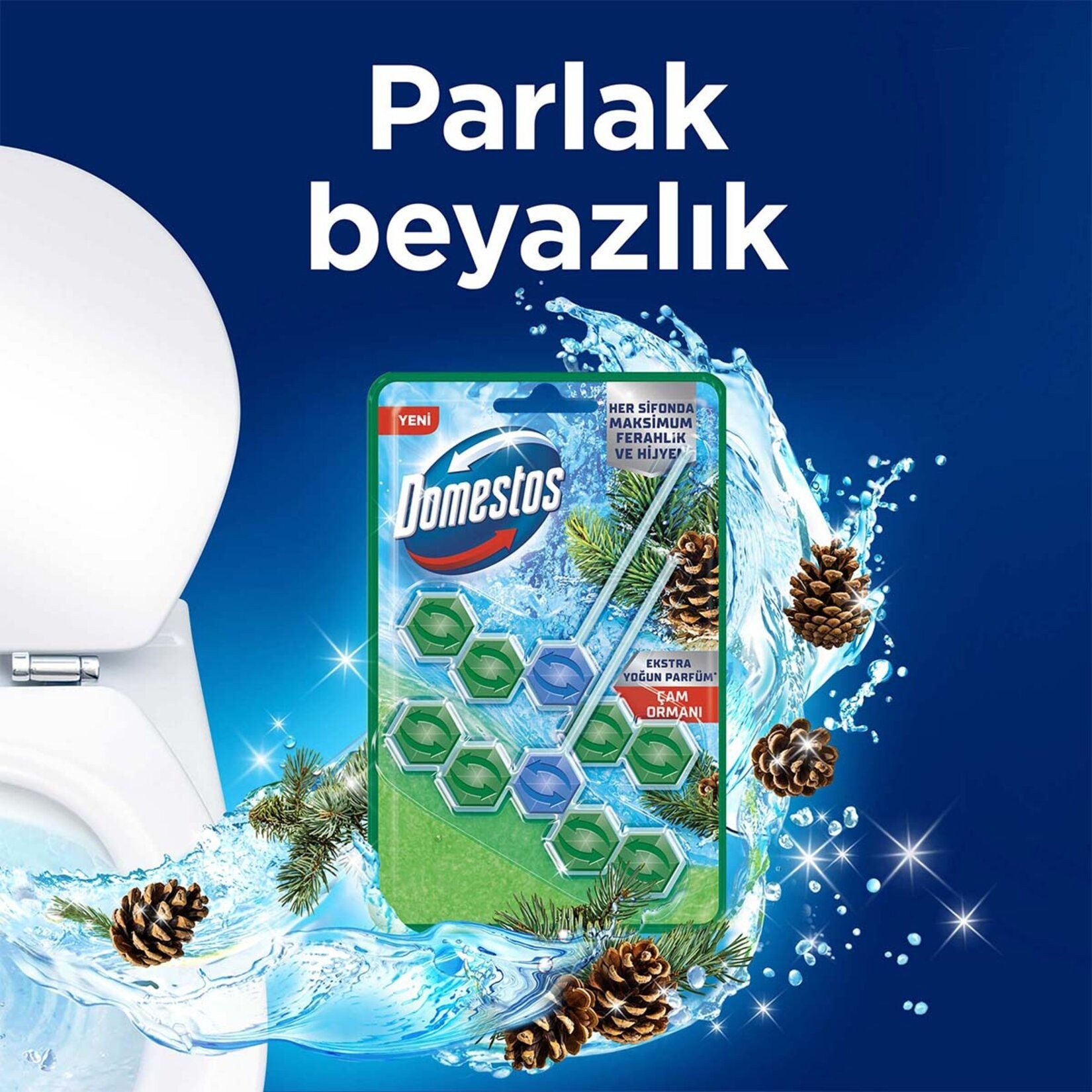 Domestos Wc Blok 5'li Güç Tuvalet Bloğu Çam Ferahlığı 100 GR (2x50 GR)