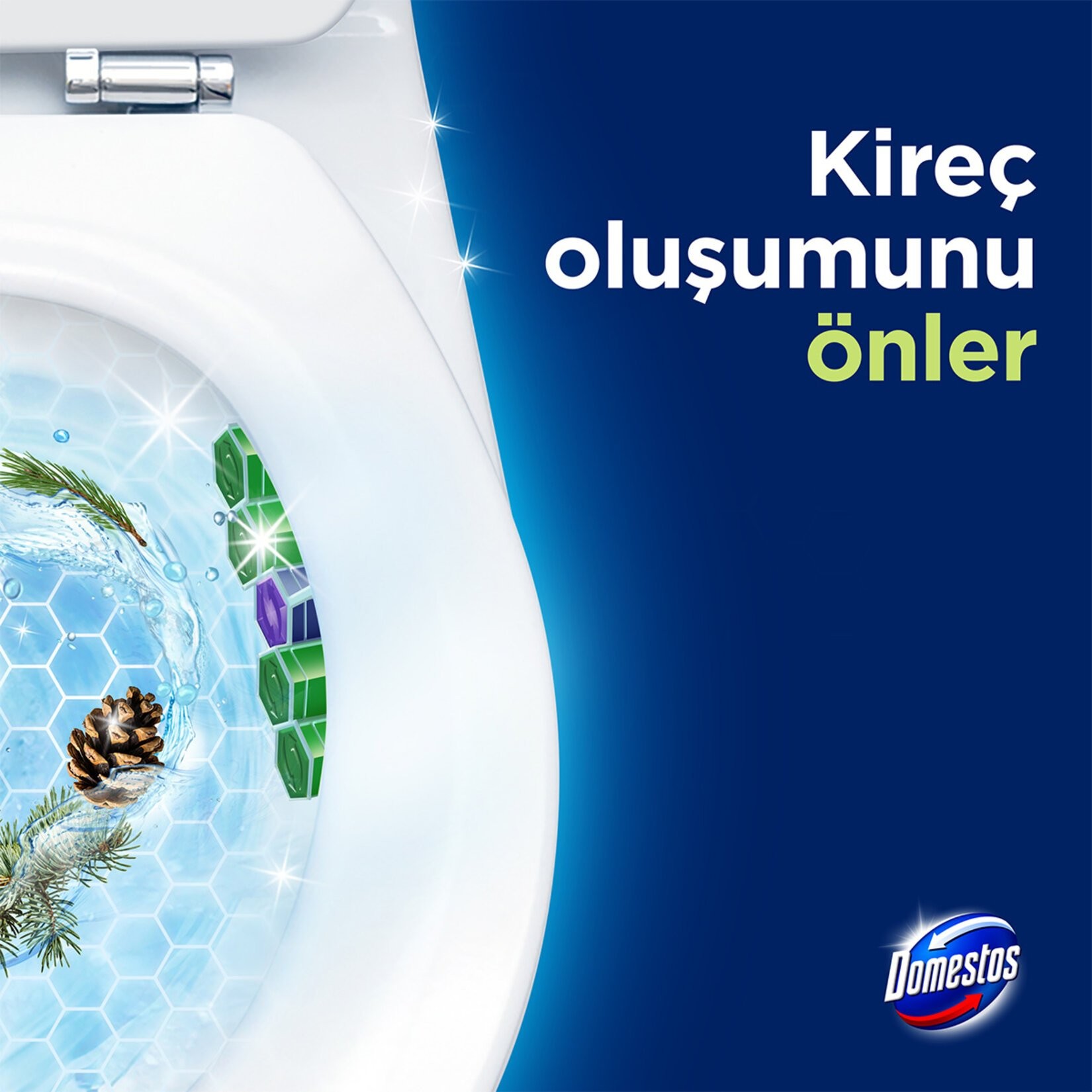 Domestos Wc Blok 5'li Güç Tuvalet Bloğu Çam Ferahlığı 100 GR (2x50 GR)