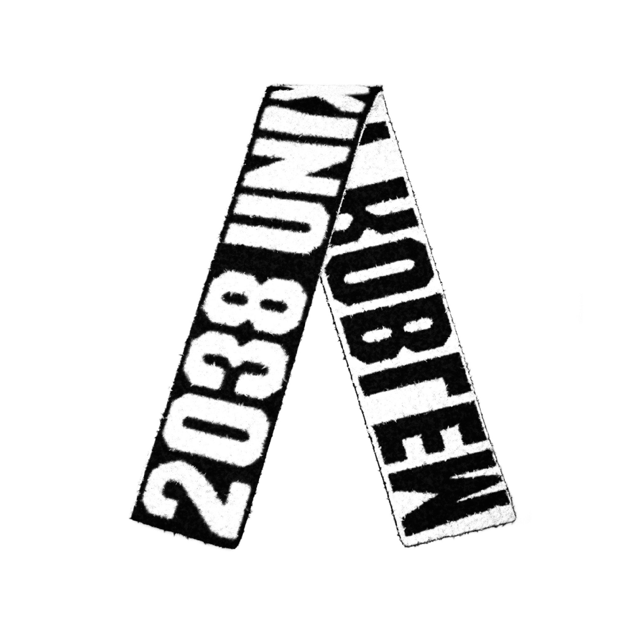 LE MYSTÈRE 2038 SCARF