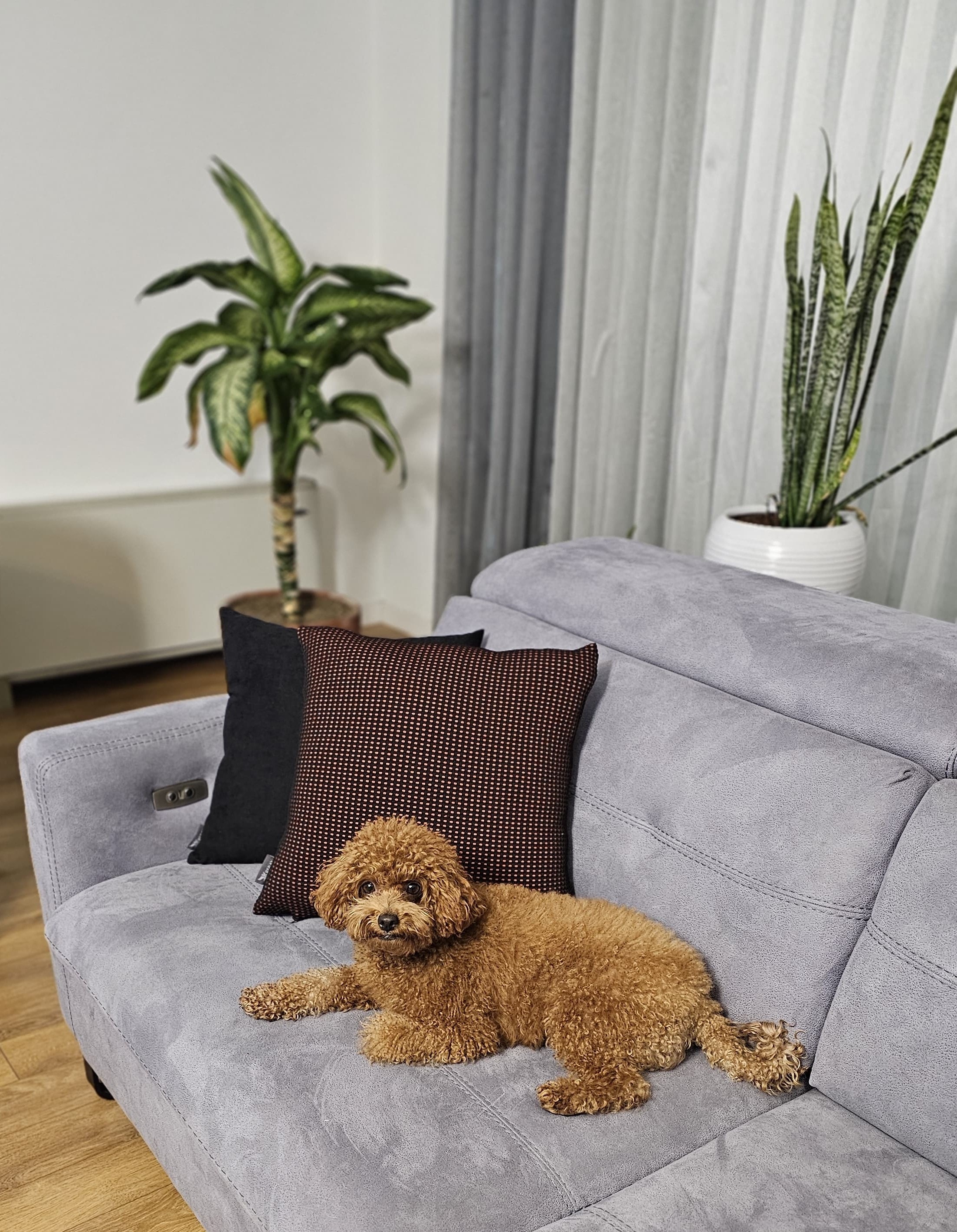 KAPİTONE KIRLENT KILIFI , SİYAH-TURUNCU