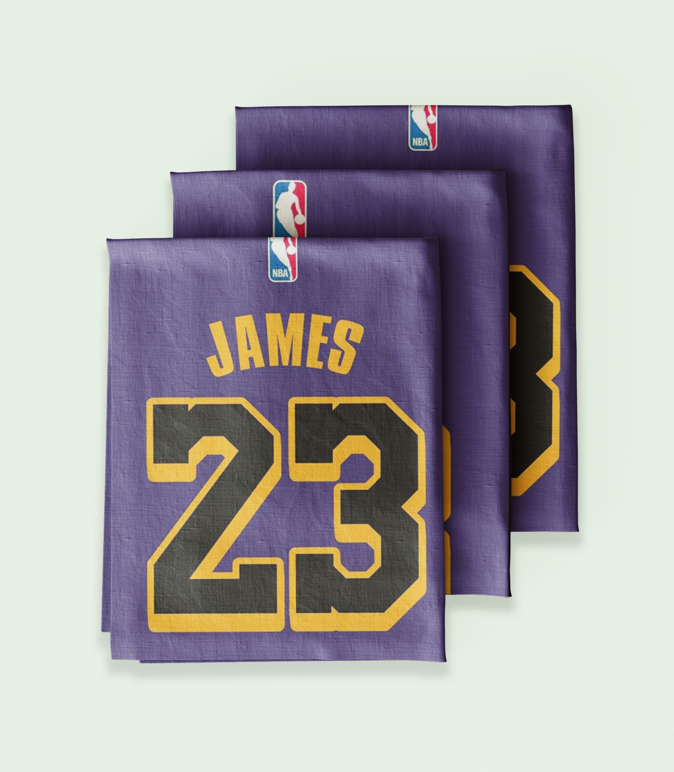 Lebron James 23 - Duvar Örtüsü