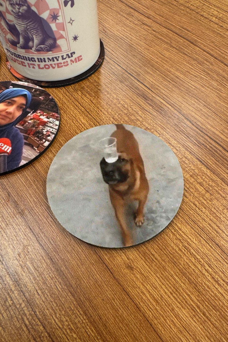 Yuvarlak Bardak Altlığı Su Taşıyan Köpek