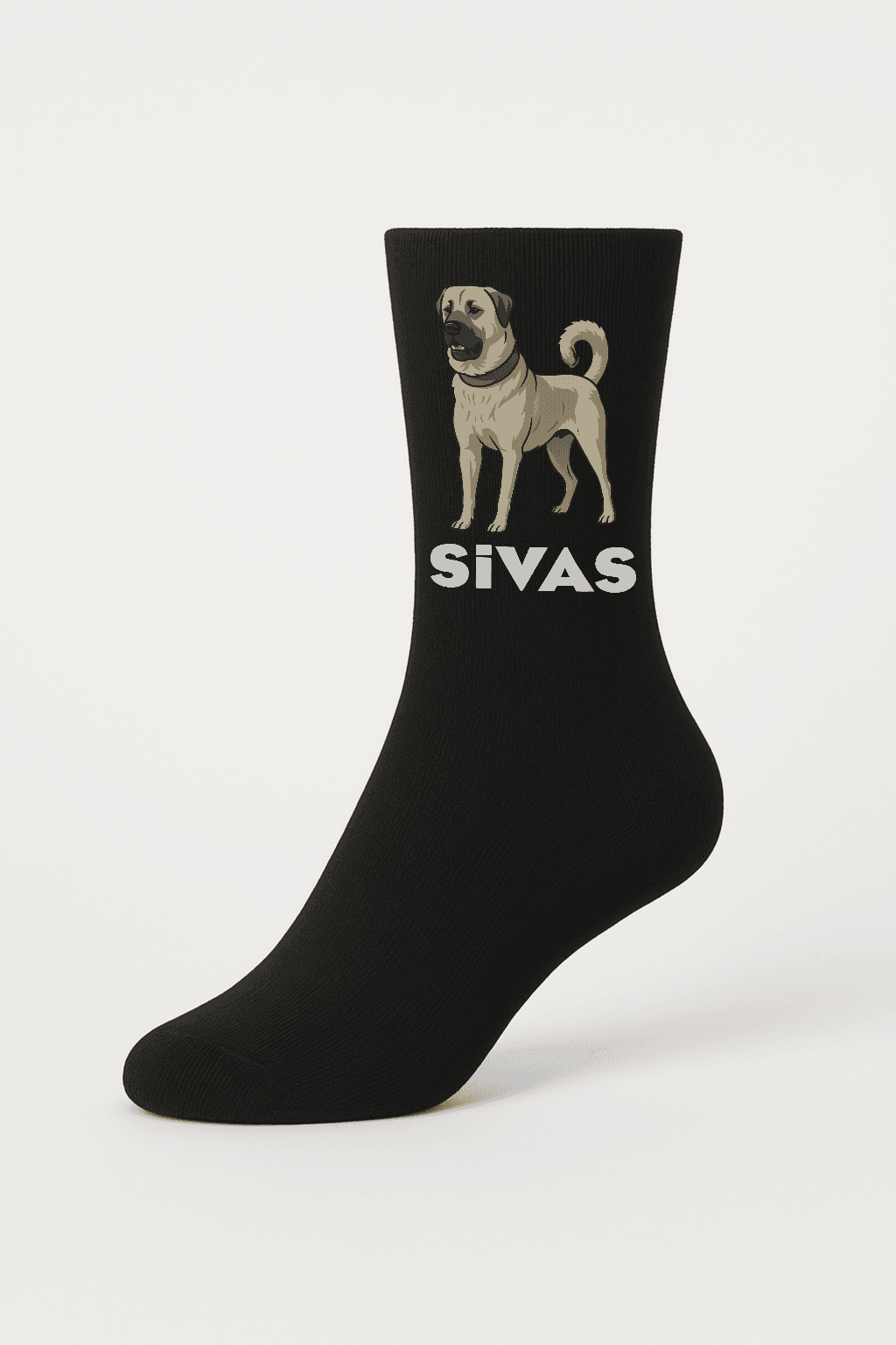 Siyah Unisex Bambu Çorap - Sivas Kangal 