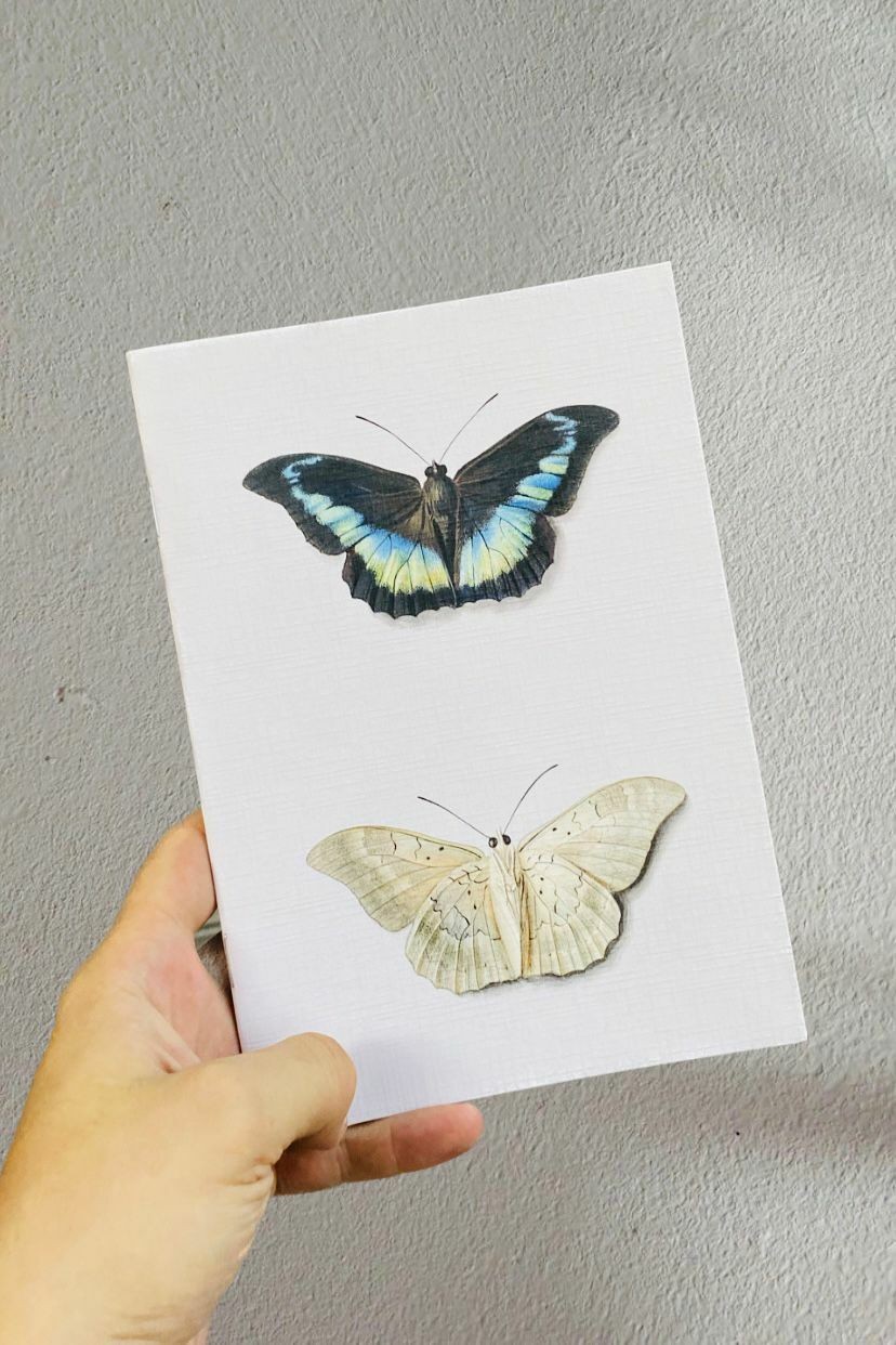 Yushiclub A5 Defter Beyaz Kelebekler