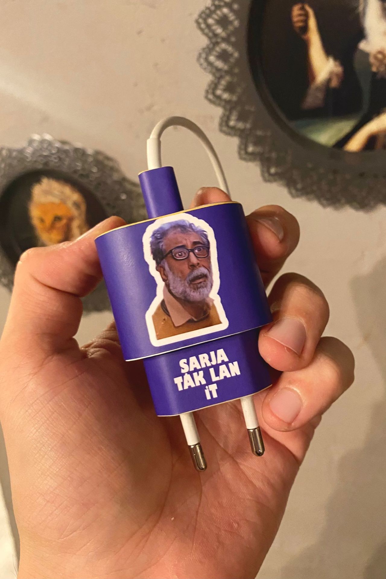 iPhone 20W Şarj Aleti Kaplaması - Abuzer Şarja Tak Lan İt