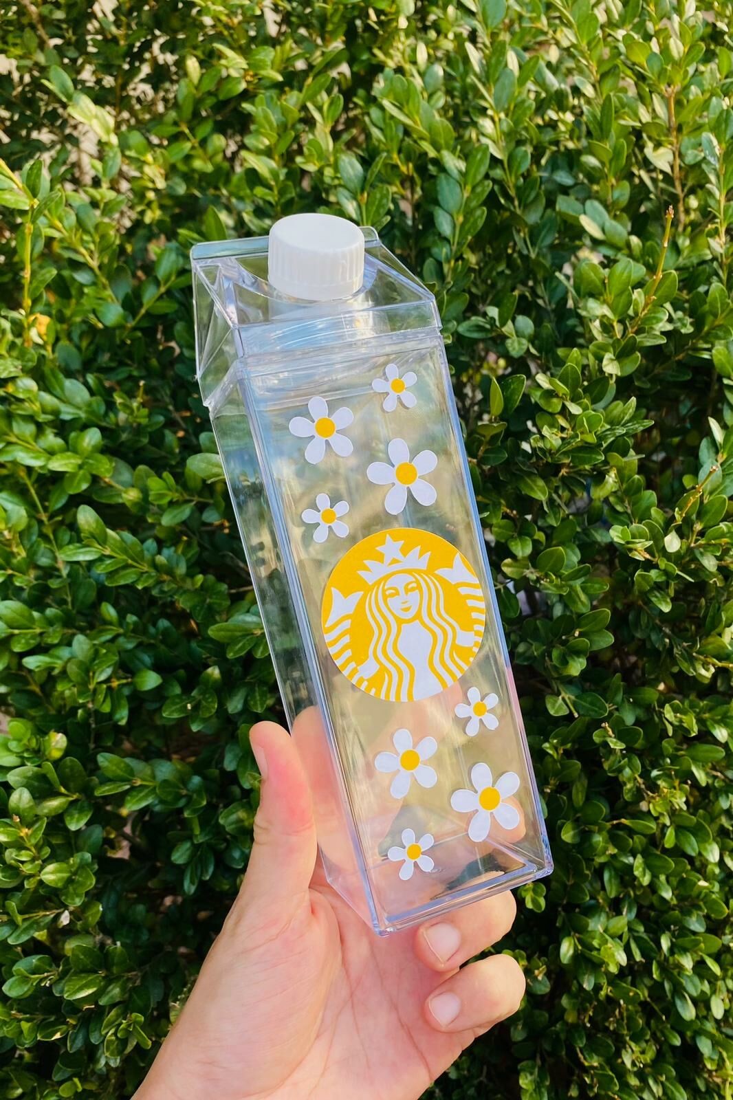 Papatya Starbucks Süt Kutusu Tasarımlı 500ml Mika Matara Suluk