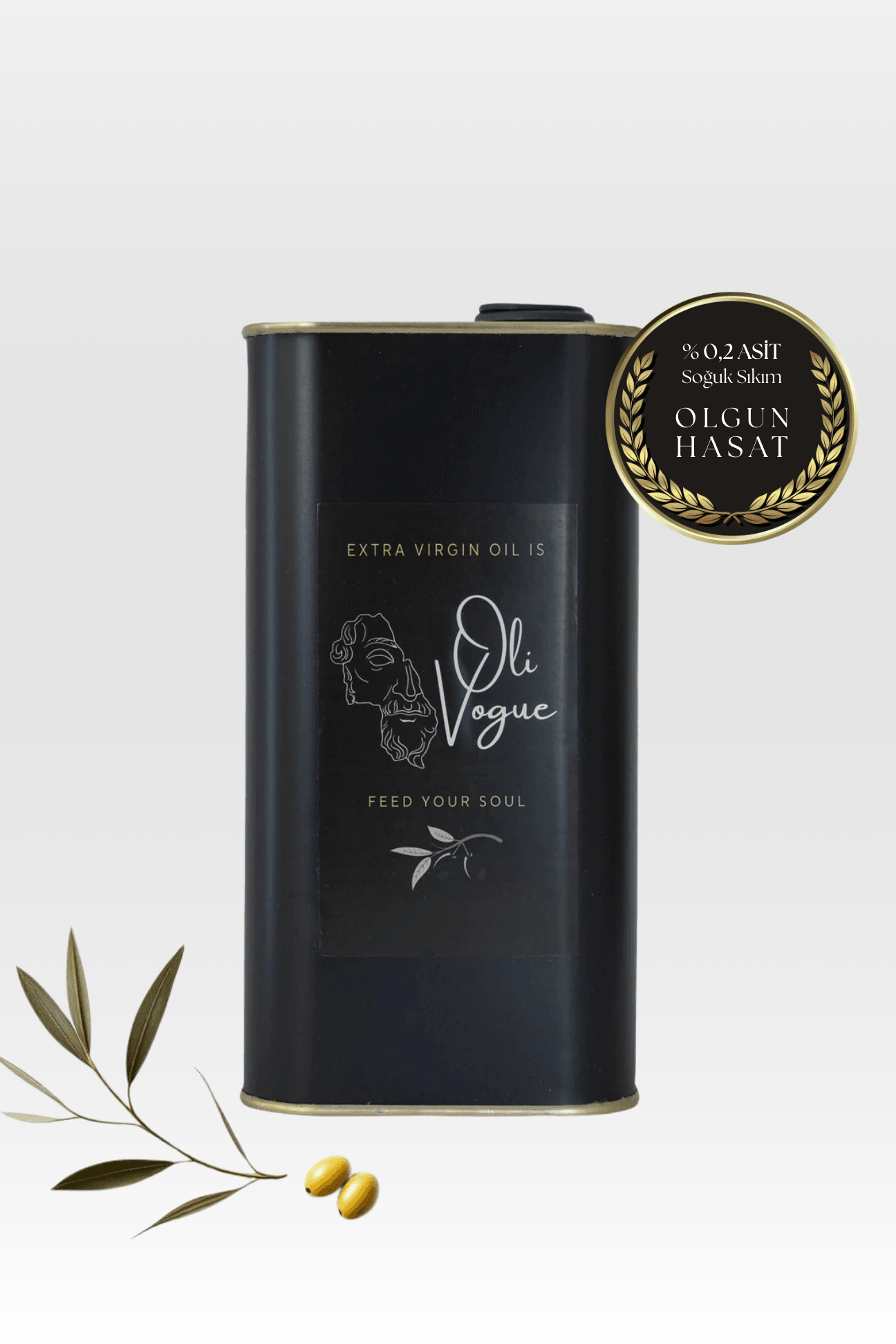 Regular Naturel Sızma Soğuk Sıkım Zeytinyağı (3 Litre)