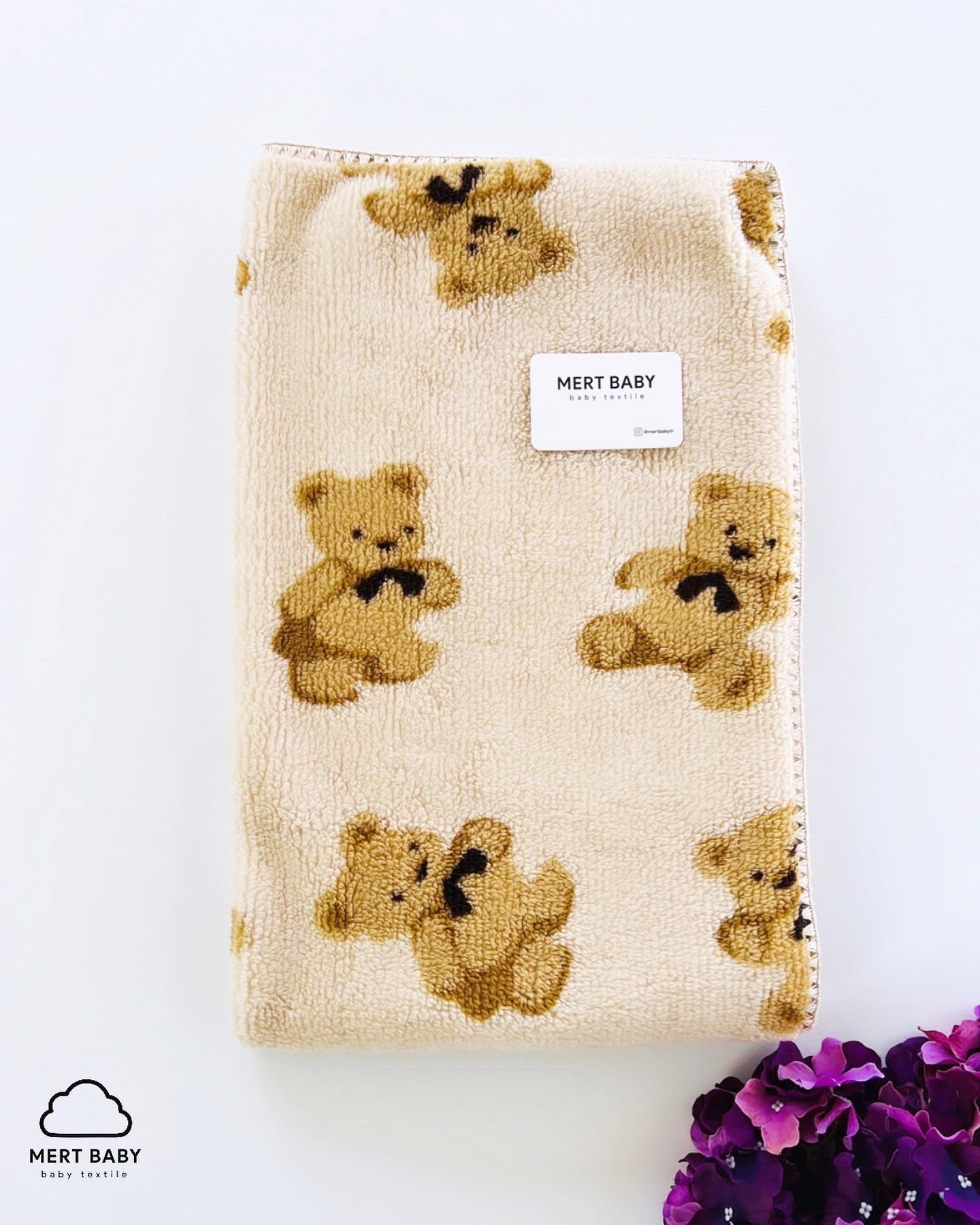 Teddy Bear Blanket