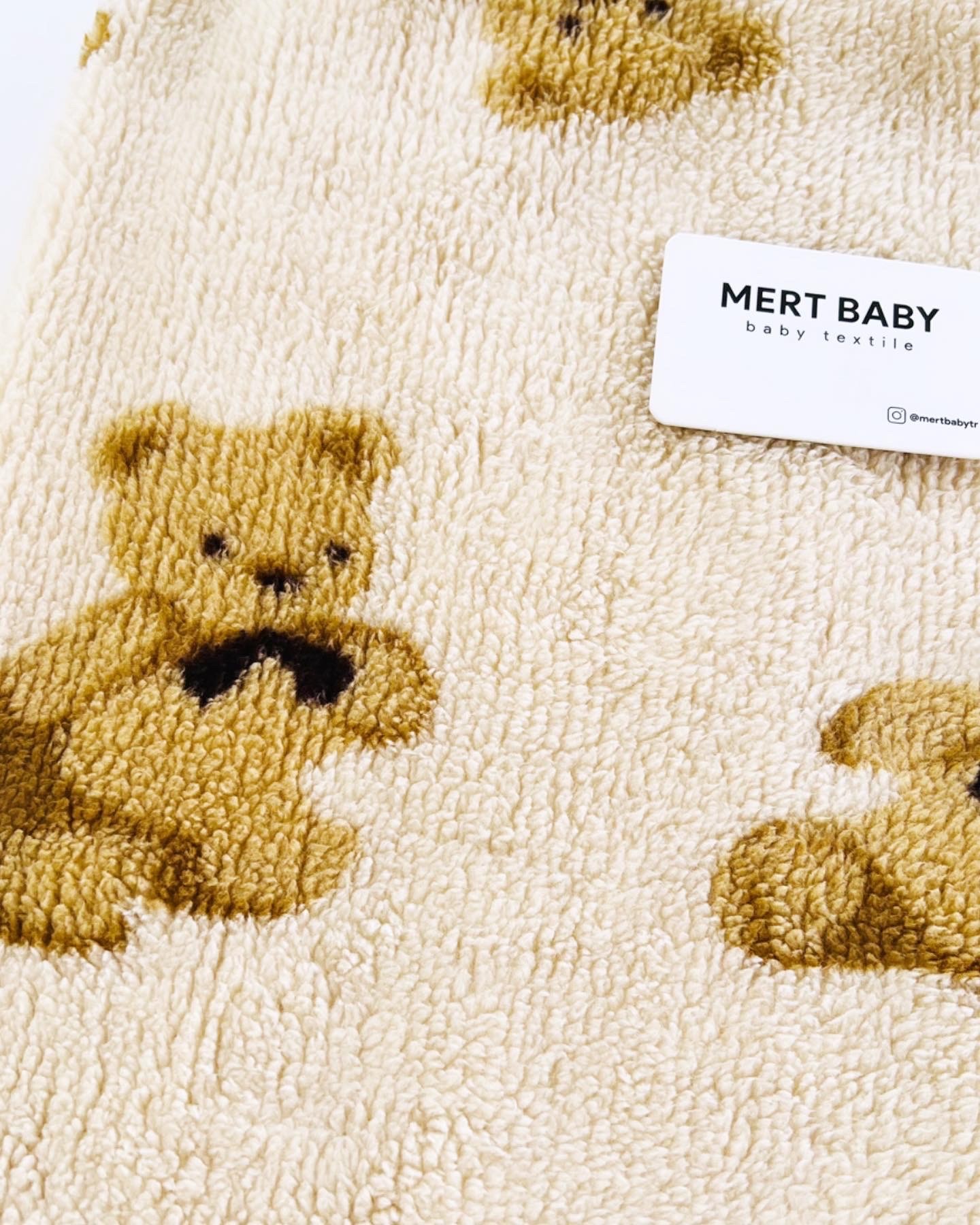 Teddy Bear Blanket