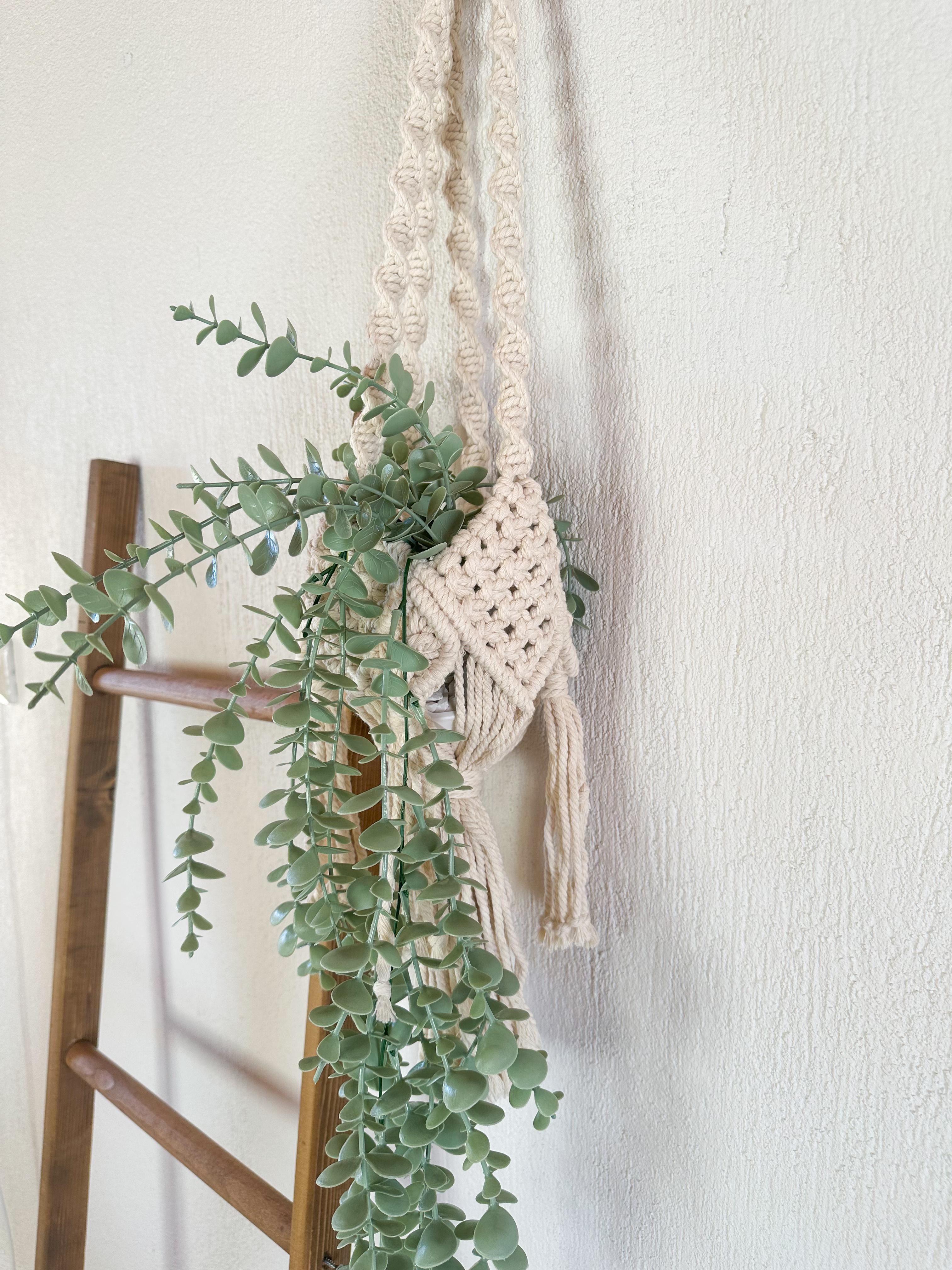 Macrame Plant Hanger