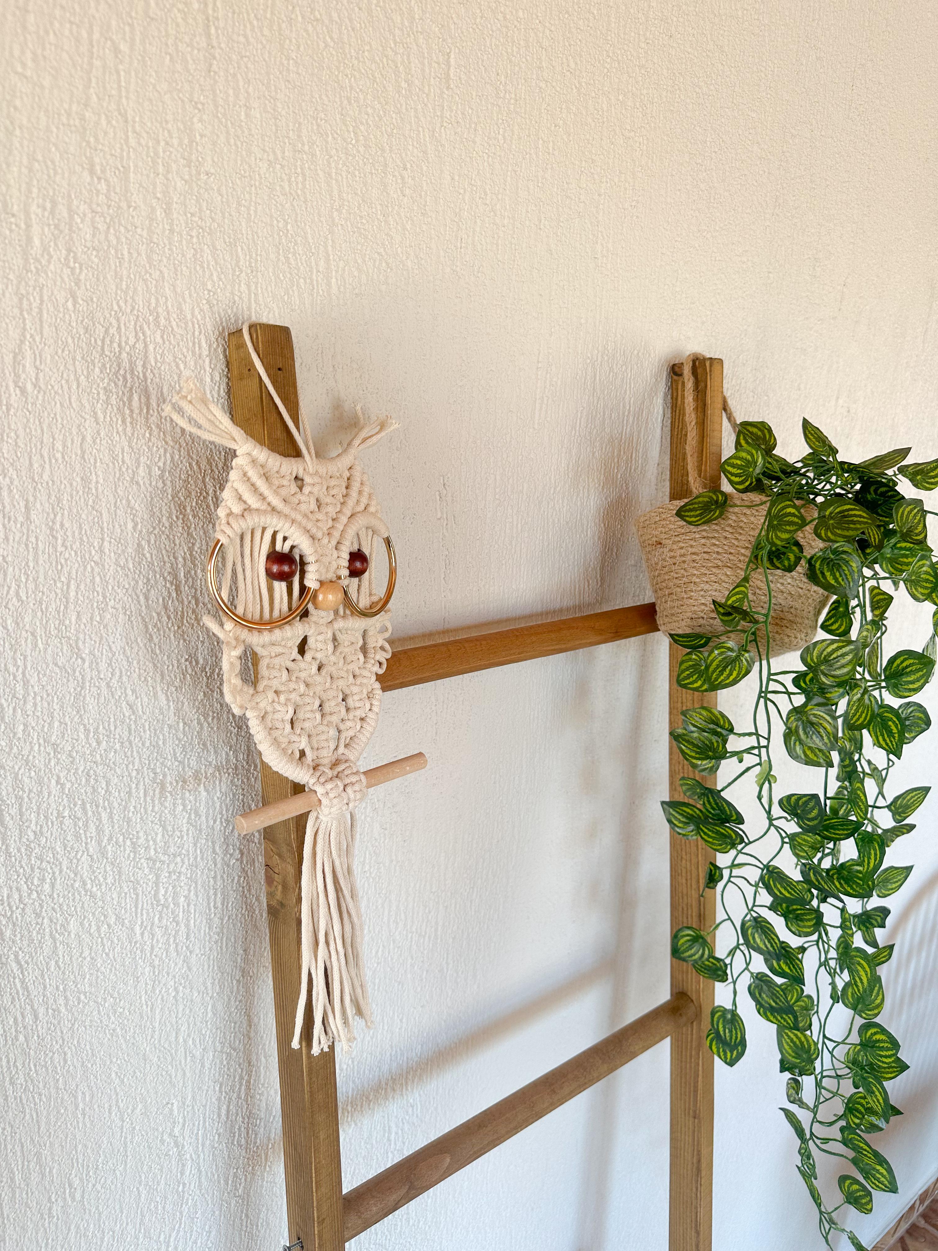 Macrame Owl Wall Hanging, Handmade Boho Decor