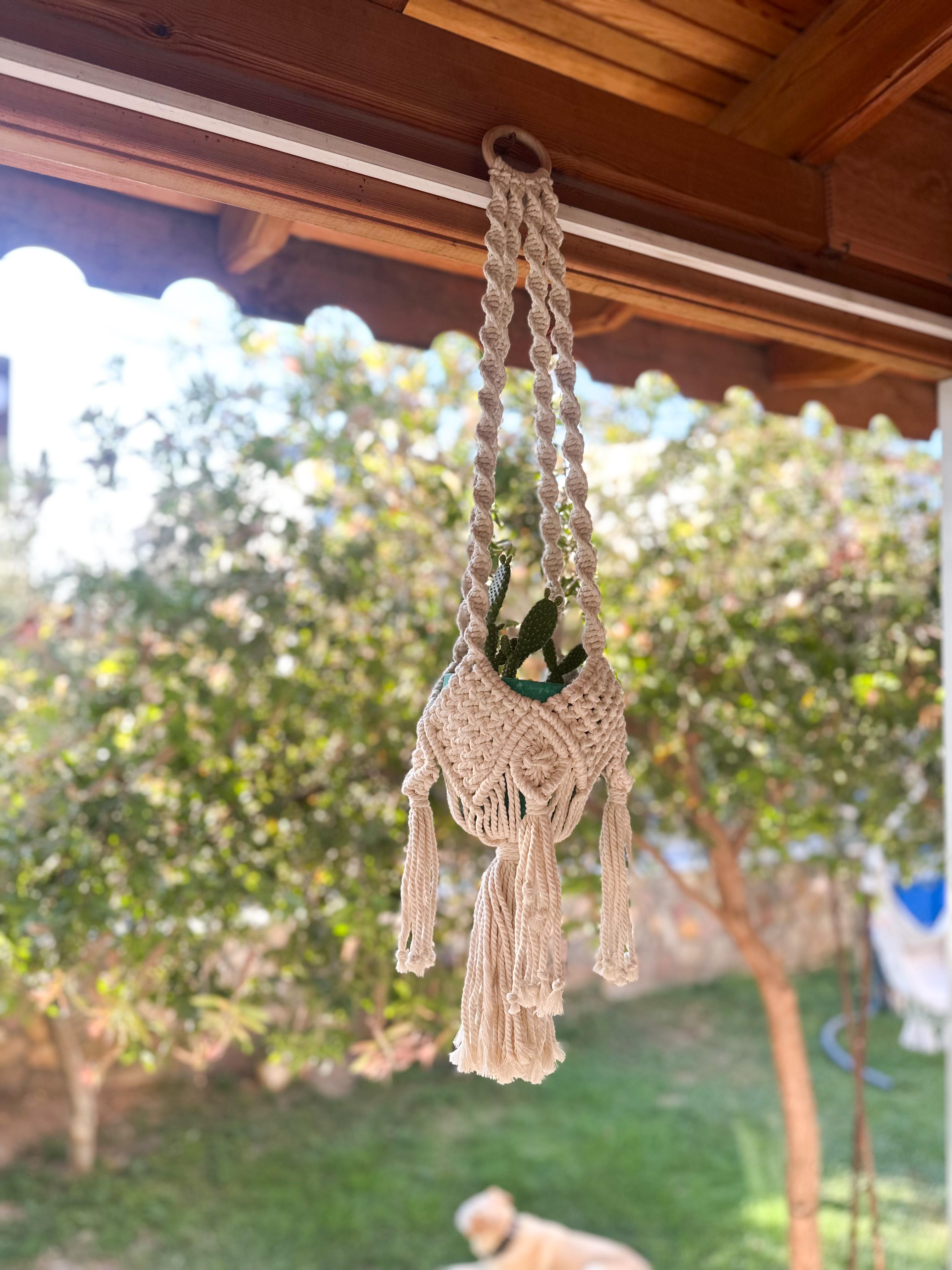 Macrame Plant Hanger