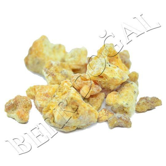 Çam Sakızı - 100 Gr