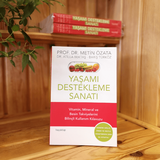 Yaşamı Destekleme Sanatı