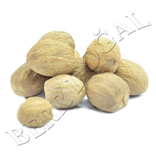 Muskat Cevizi - 50 Gr