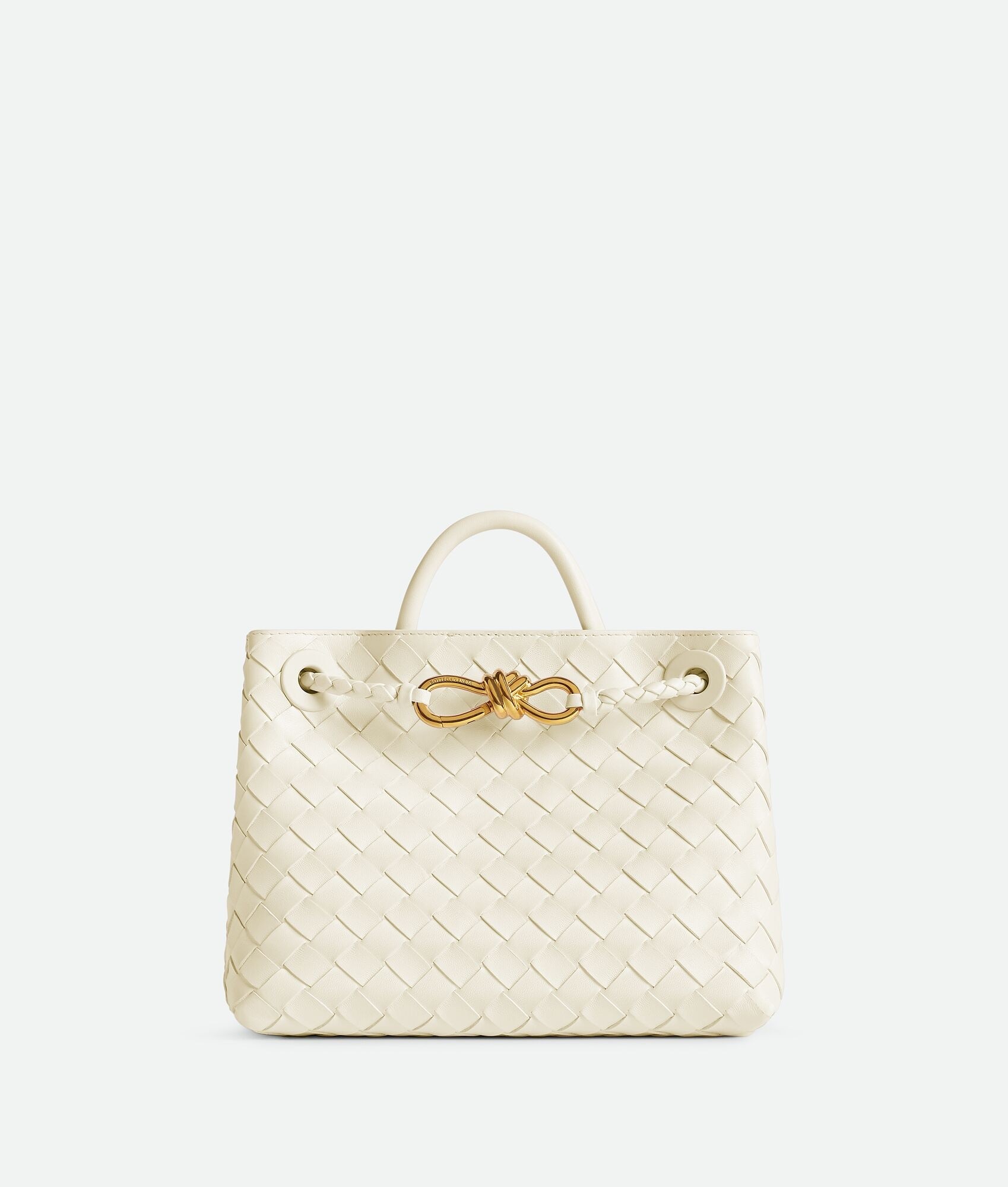 Bottega Veneta Andiamo Small Bag