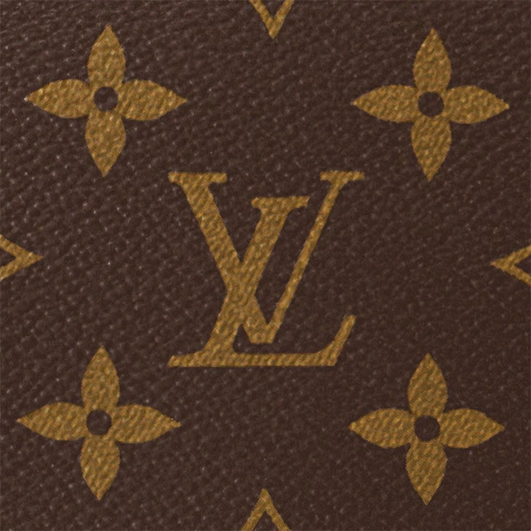 Louis Vuitton Loop Hobo