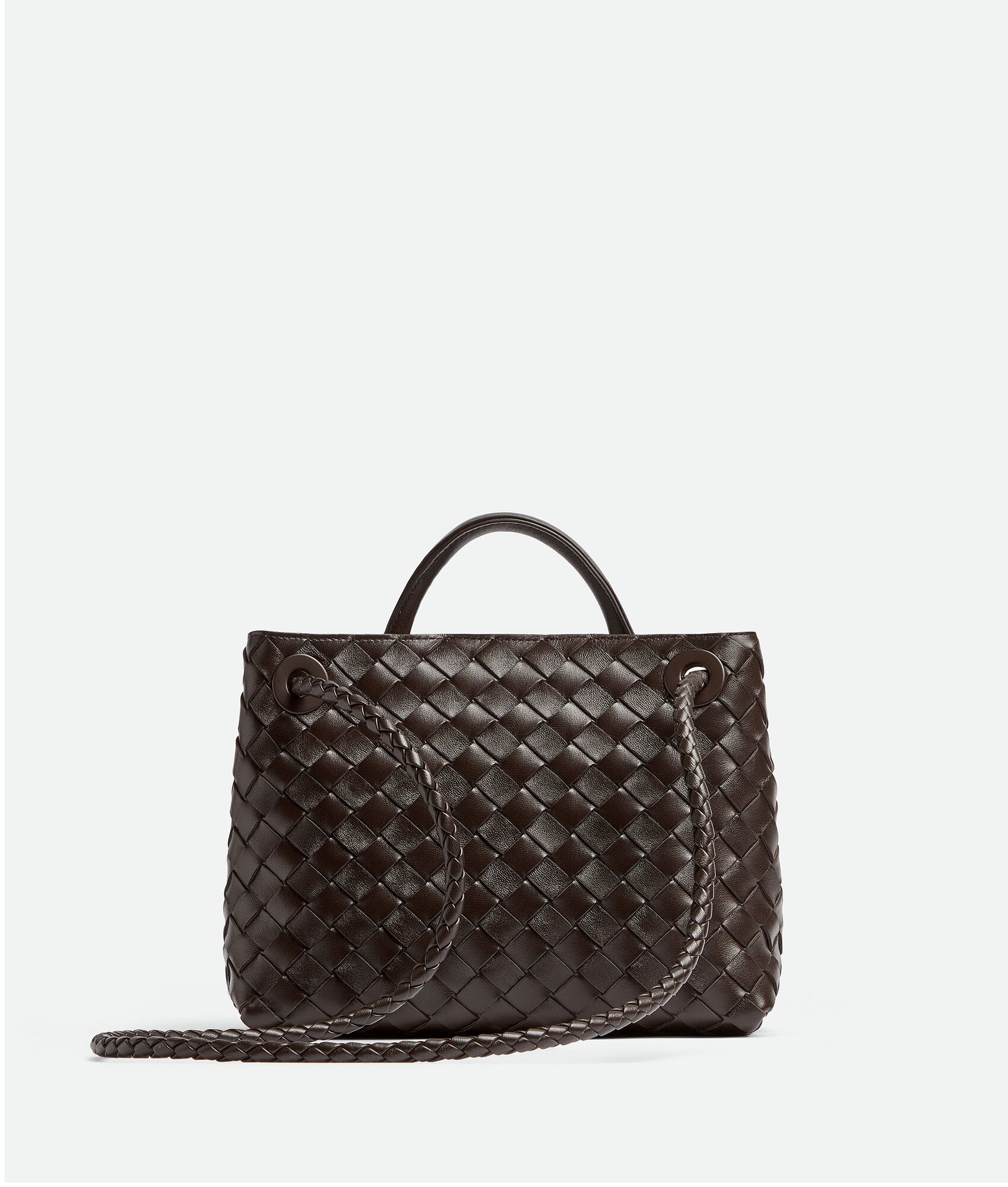 Bottega Veneta Andiamo Small Bag