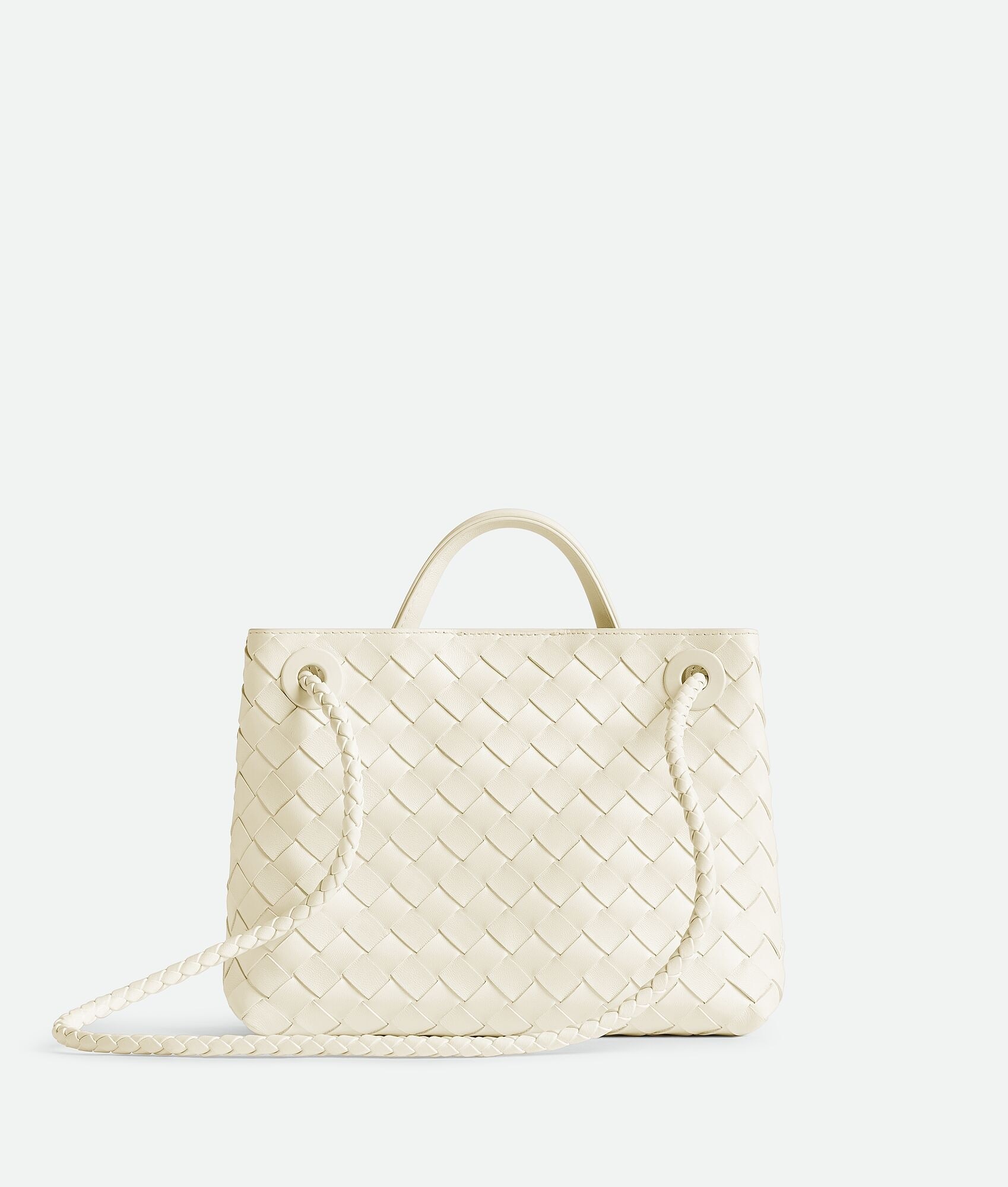 Bottega Veneta Andiamo Small Bag