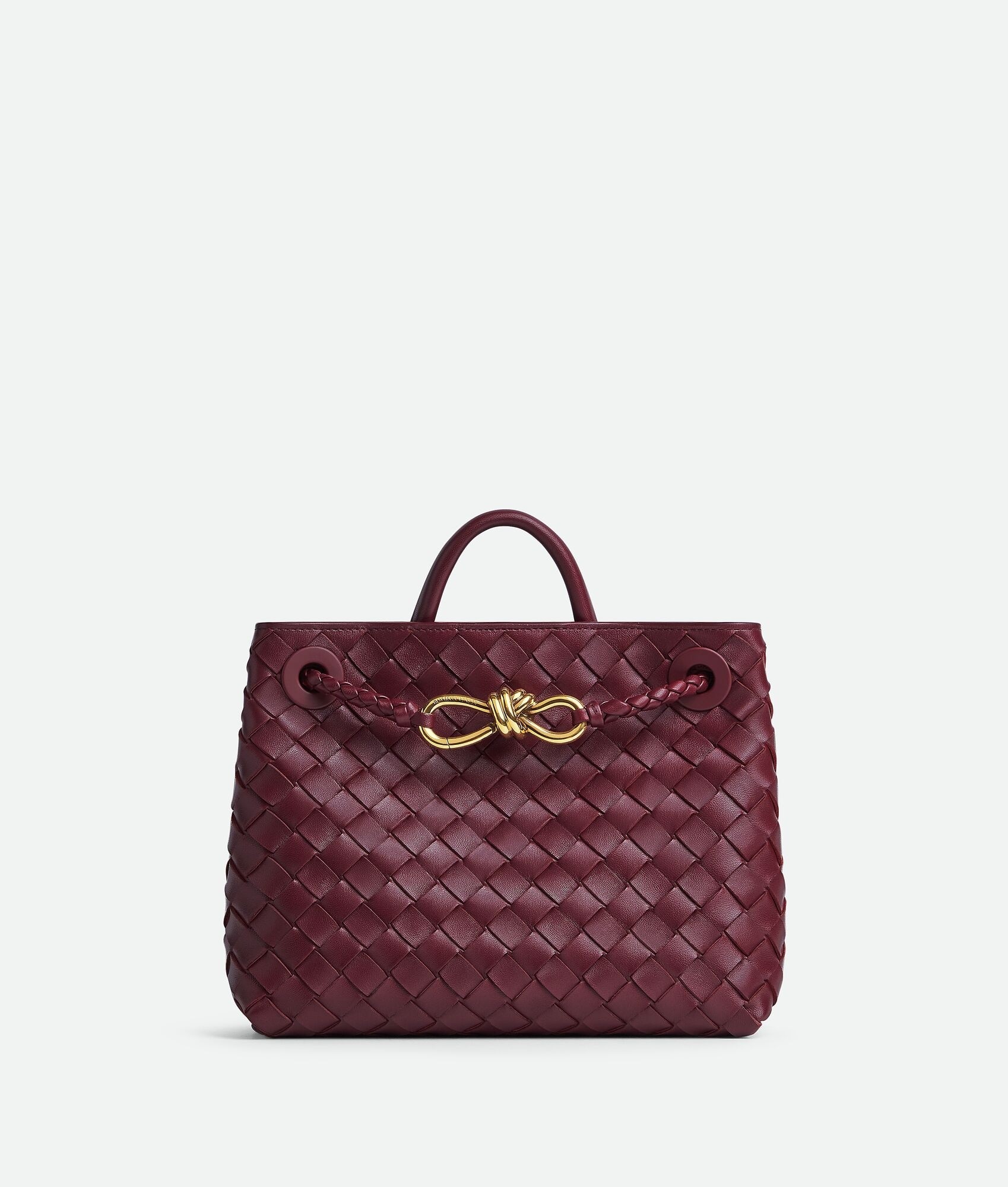 Bottega Veneta Andiamo Small Bag