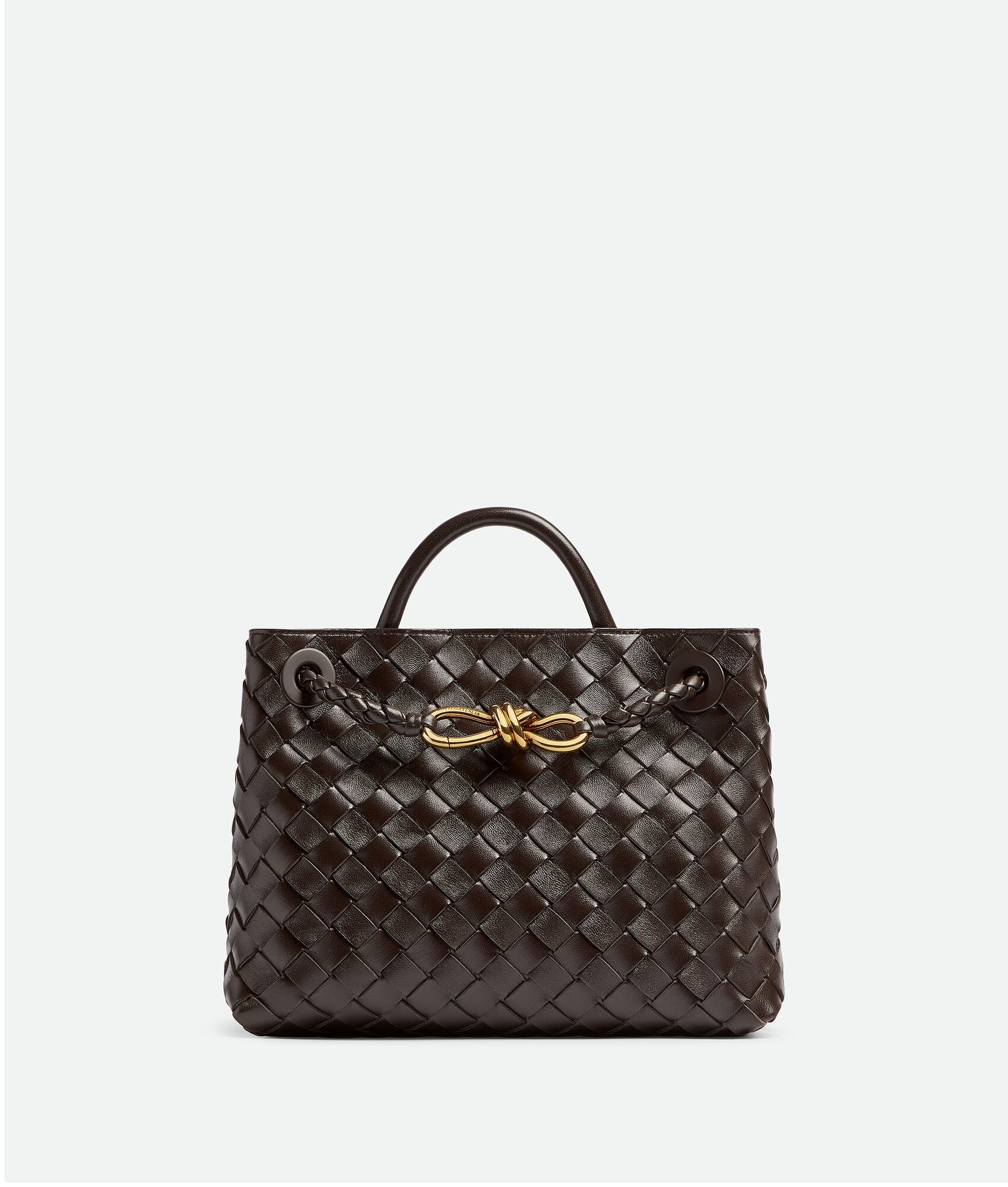 Bottega Veneta Andiamo Small Bag