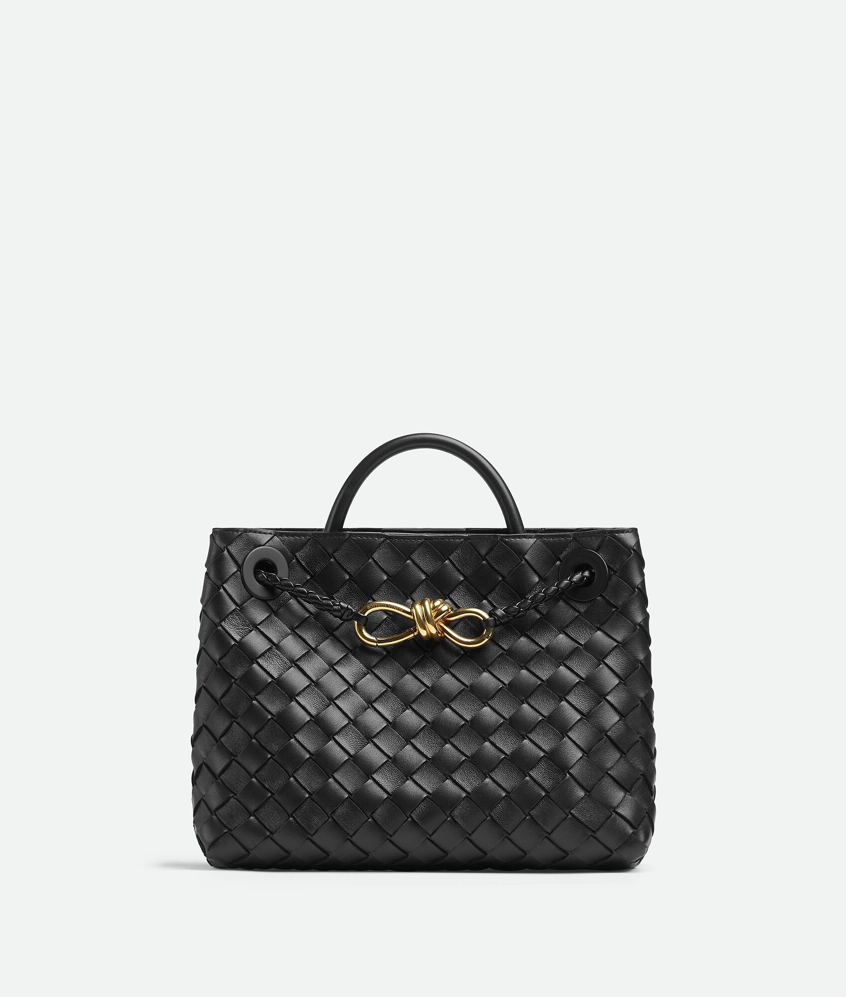 Bottega Veneta Andiamo Small Bag