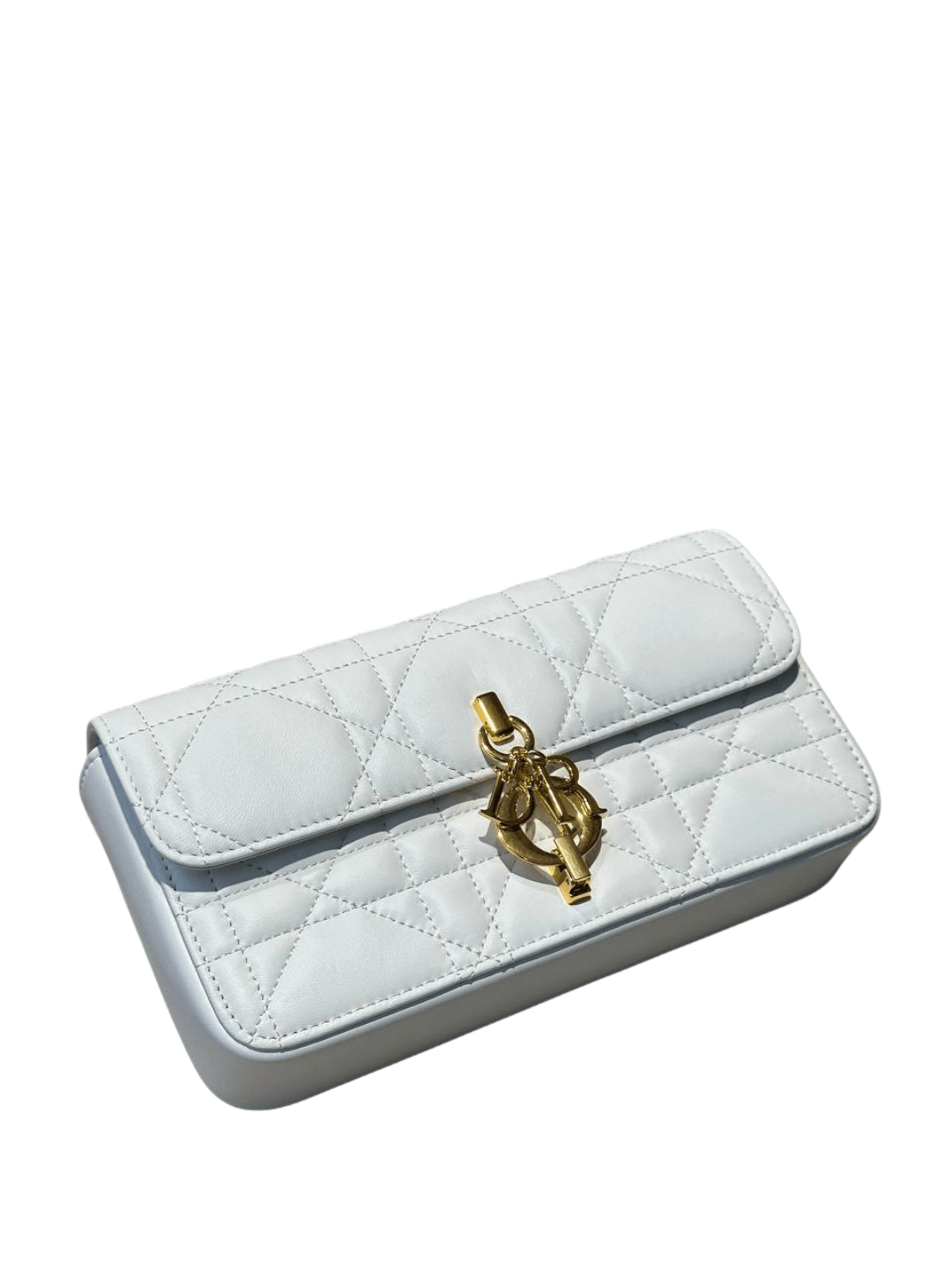 Dior Miss Daisy Bag