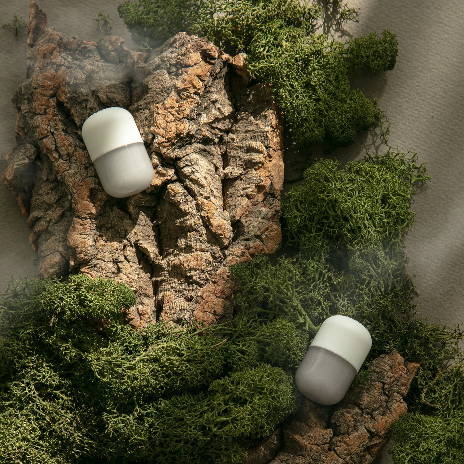 Sedir Ağacı Yosunu Aromalı Duş Terapi Kapsülü