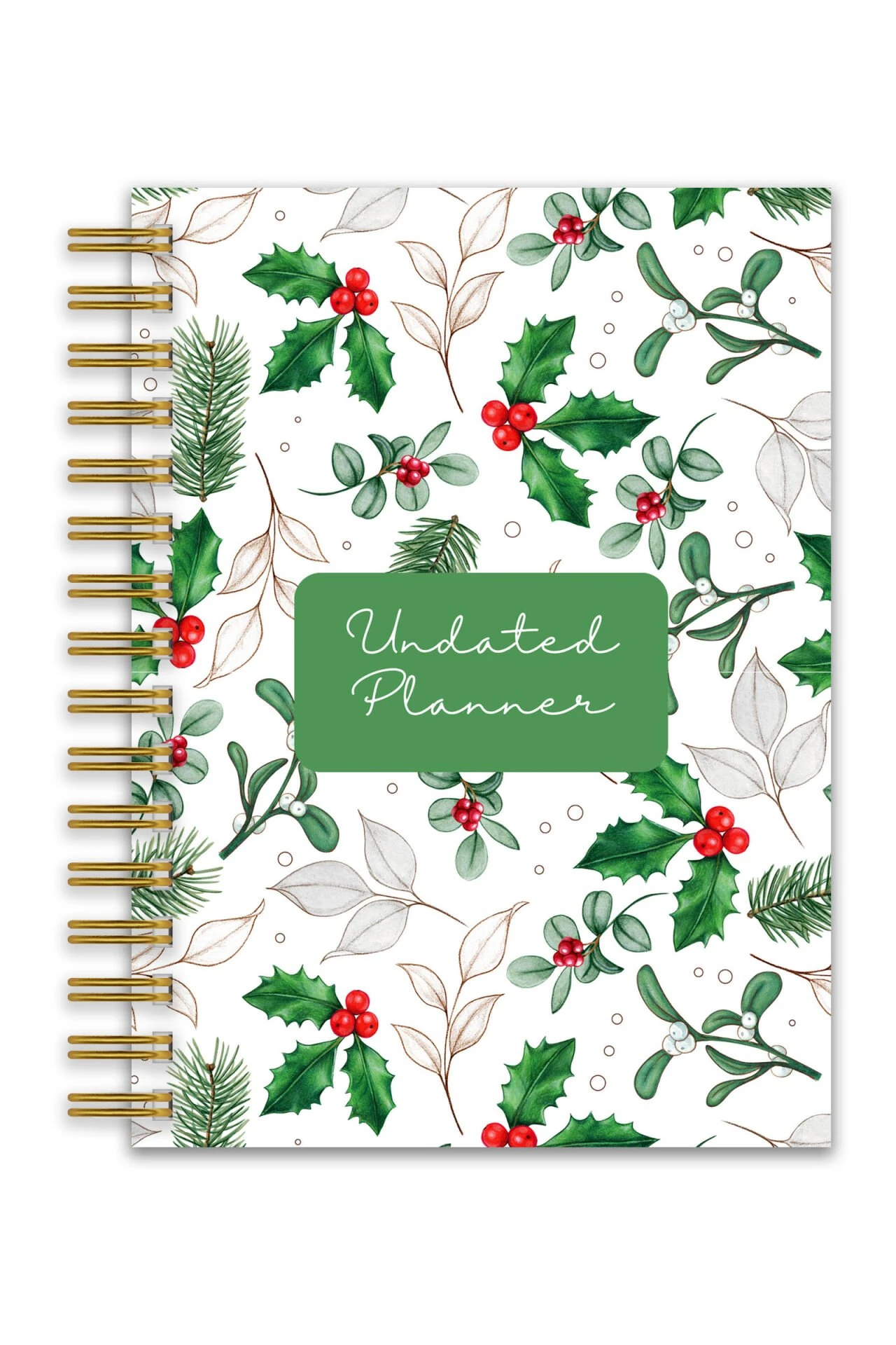 Sert Kapak A5 Spiralli Ajanda (Süresiz Planlayıcı Ajanda) Frenk main variant image