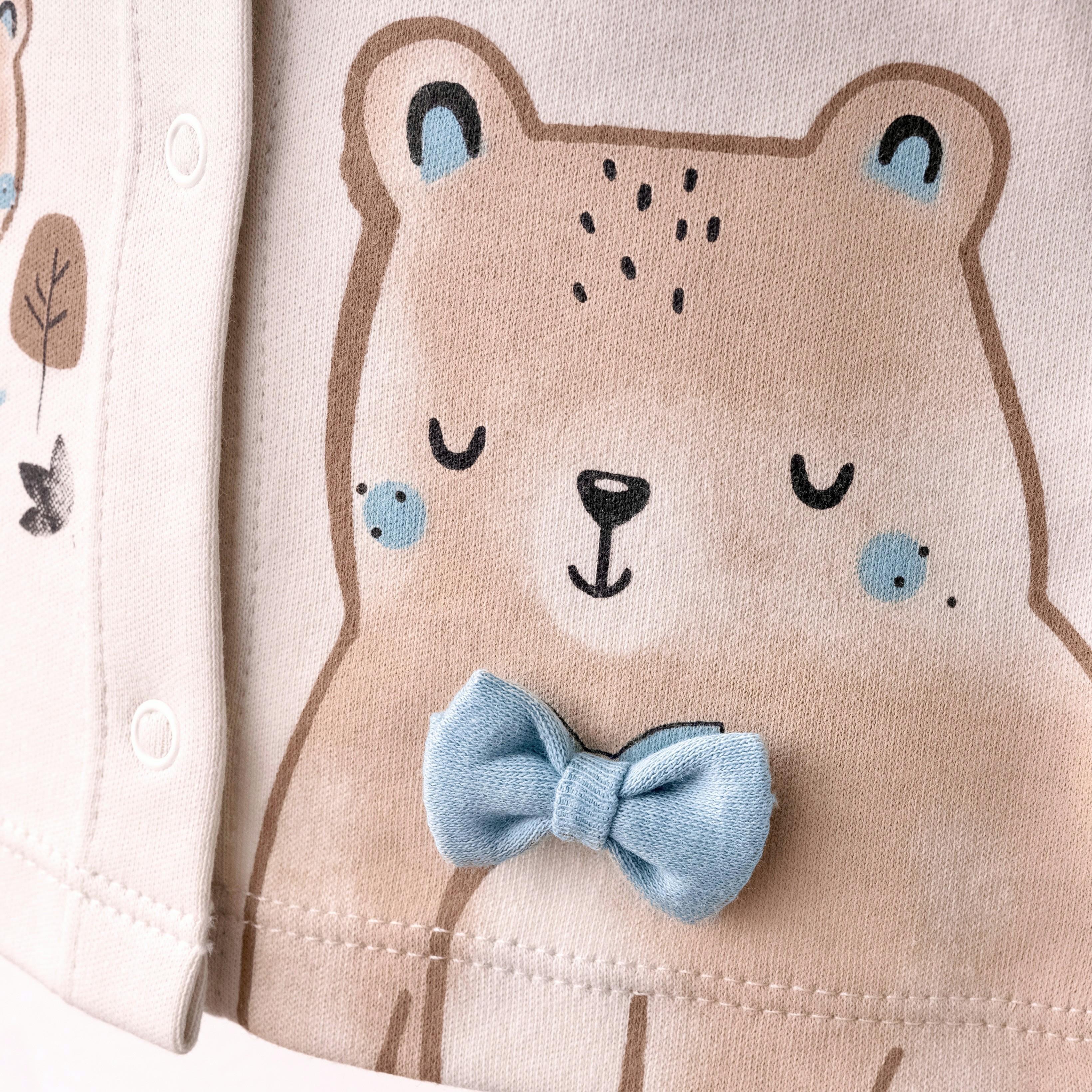 Erkek Bebek Blue Bear Day 5'li Set