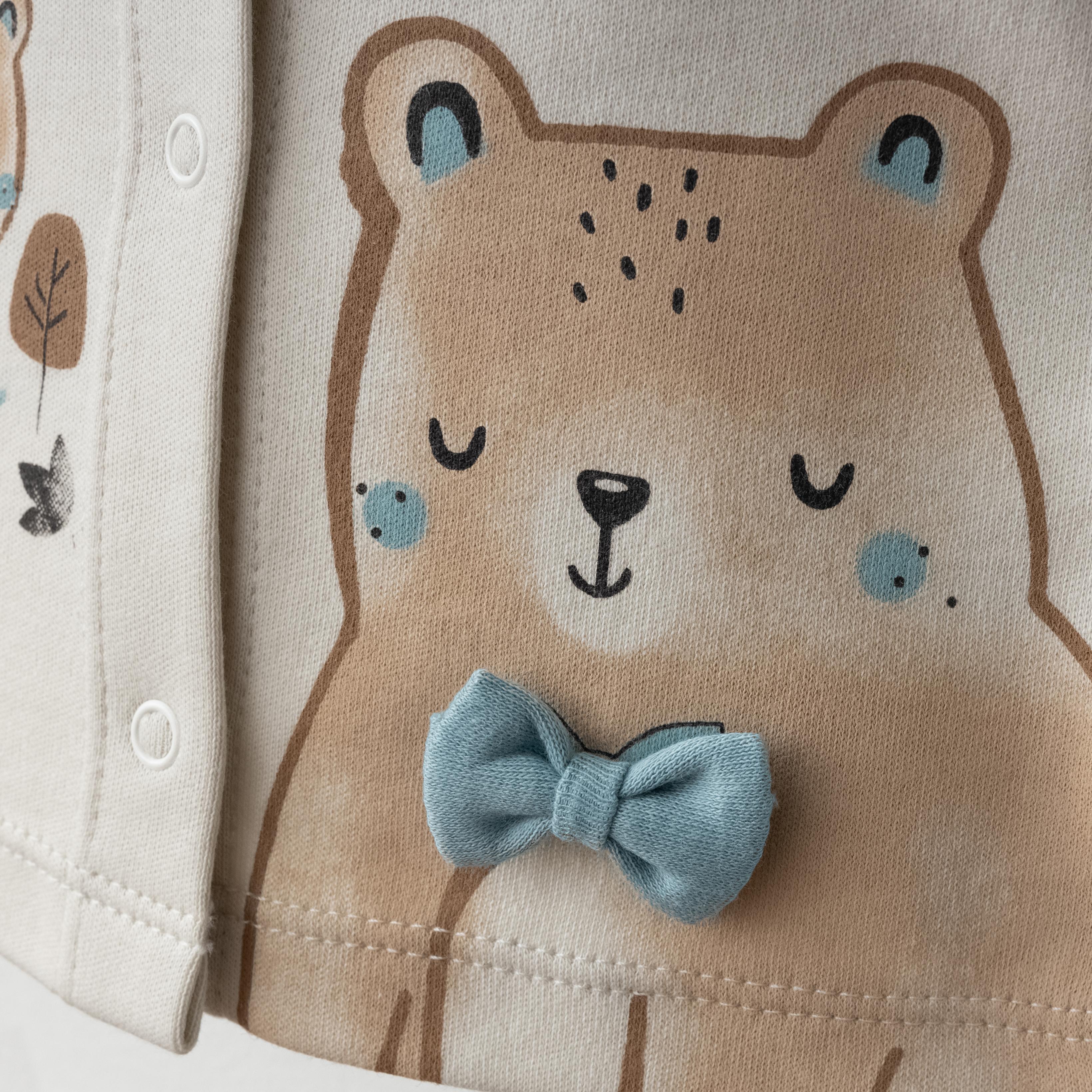 Erkek Bebek Blue Bear Day 5'li Set