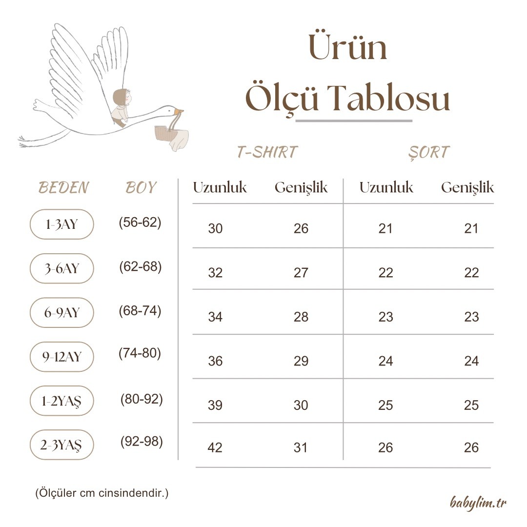 Dümen Nakışlı Tişört ve Şort 2'li 