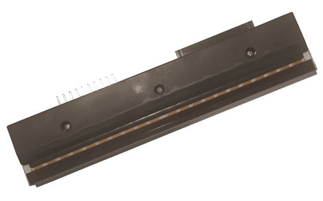 Argox G-6000 Termal Kafa