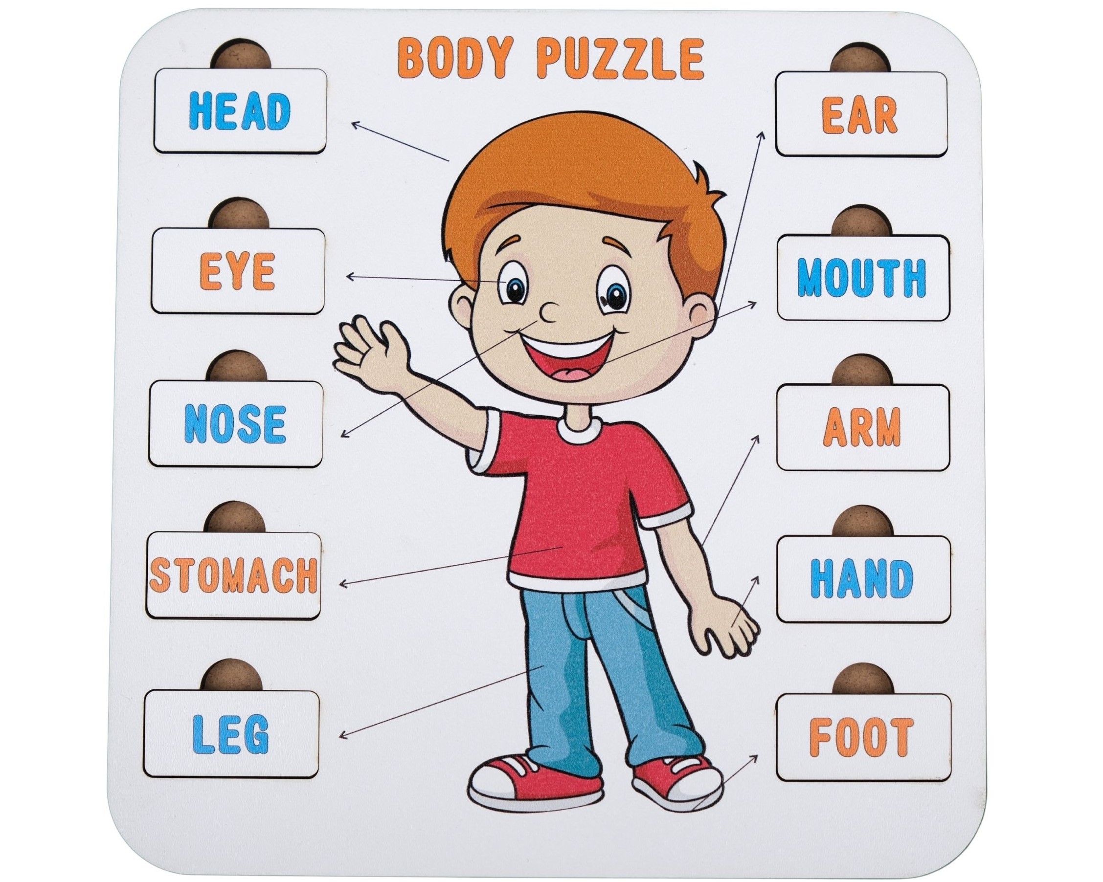 BODY (VÜCUT) | İNGİLİZCE ÖĞRETEN PUZZLE