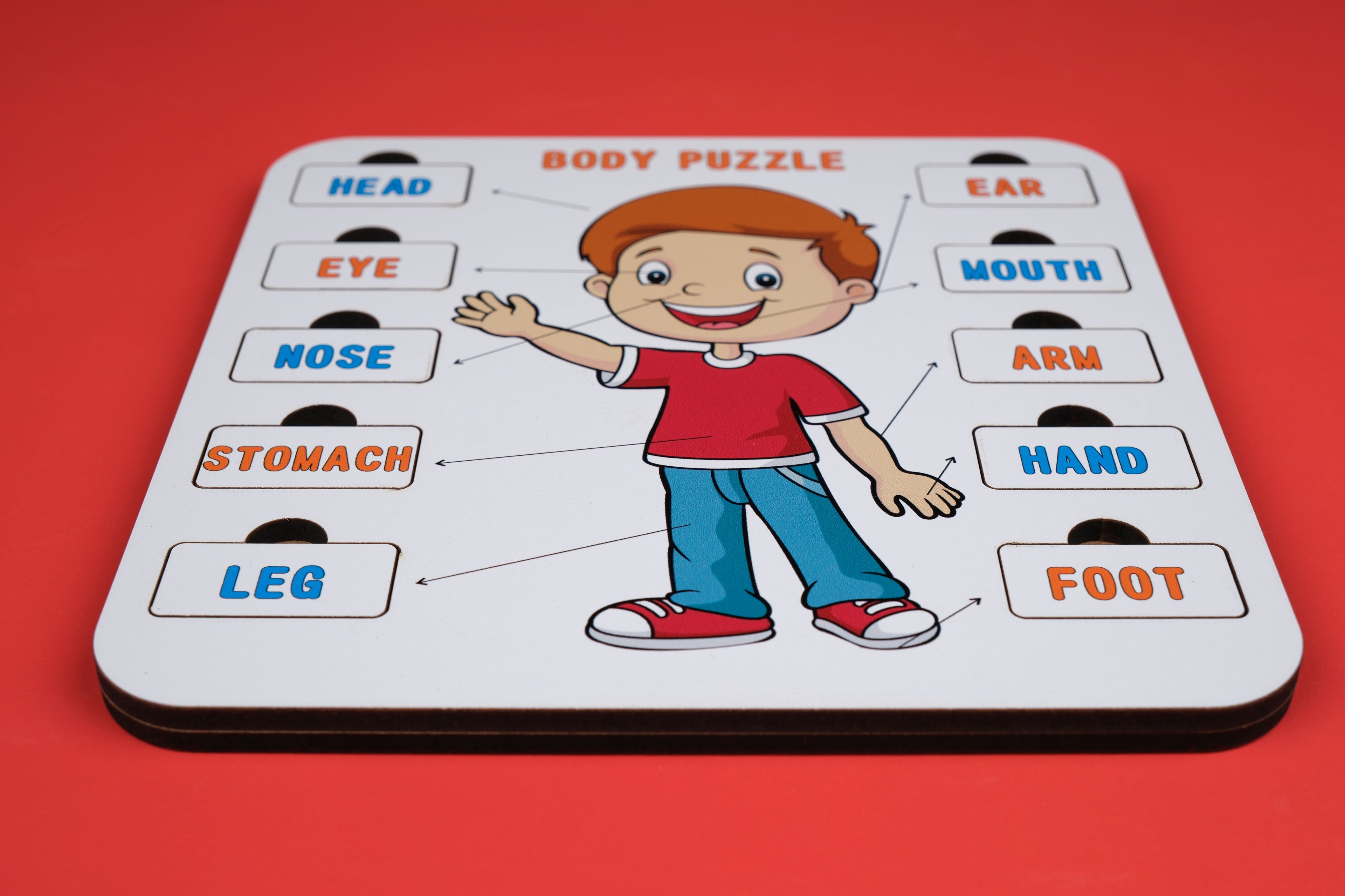 BODY (VÜCUT) | İNGİLİZCE ÖĞRETEN PUZZLE