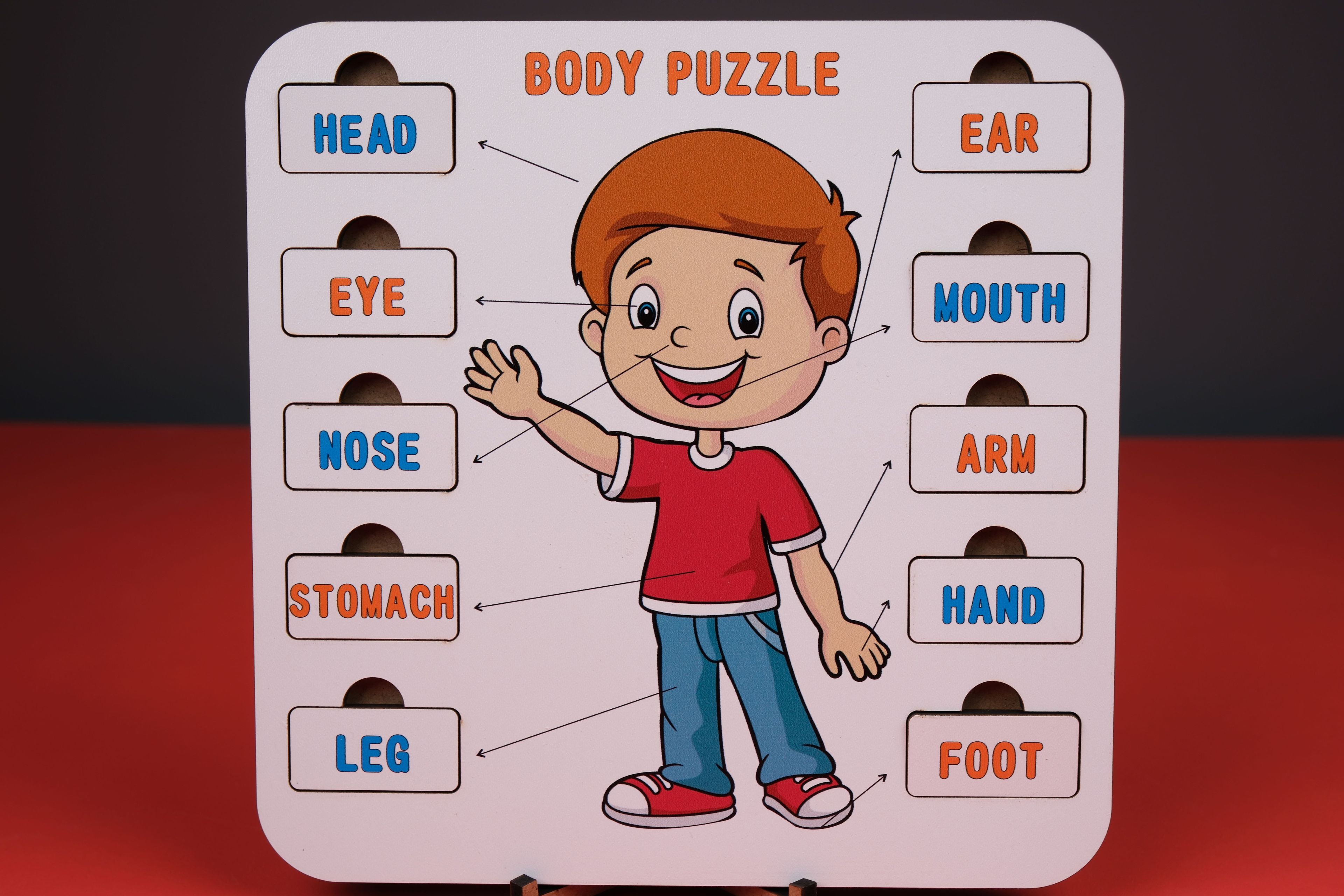 BODY (VÜCUT) | İNGİLİZCE ÖĞRETEN PUZZLE