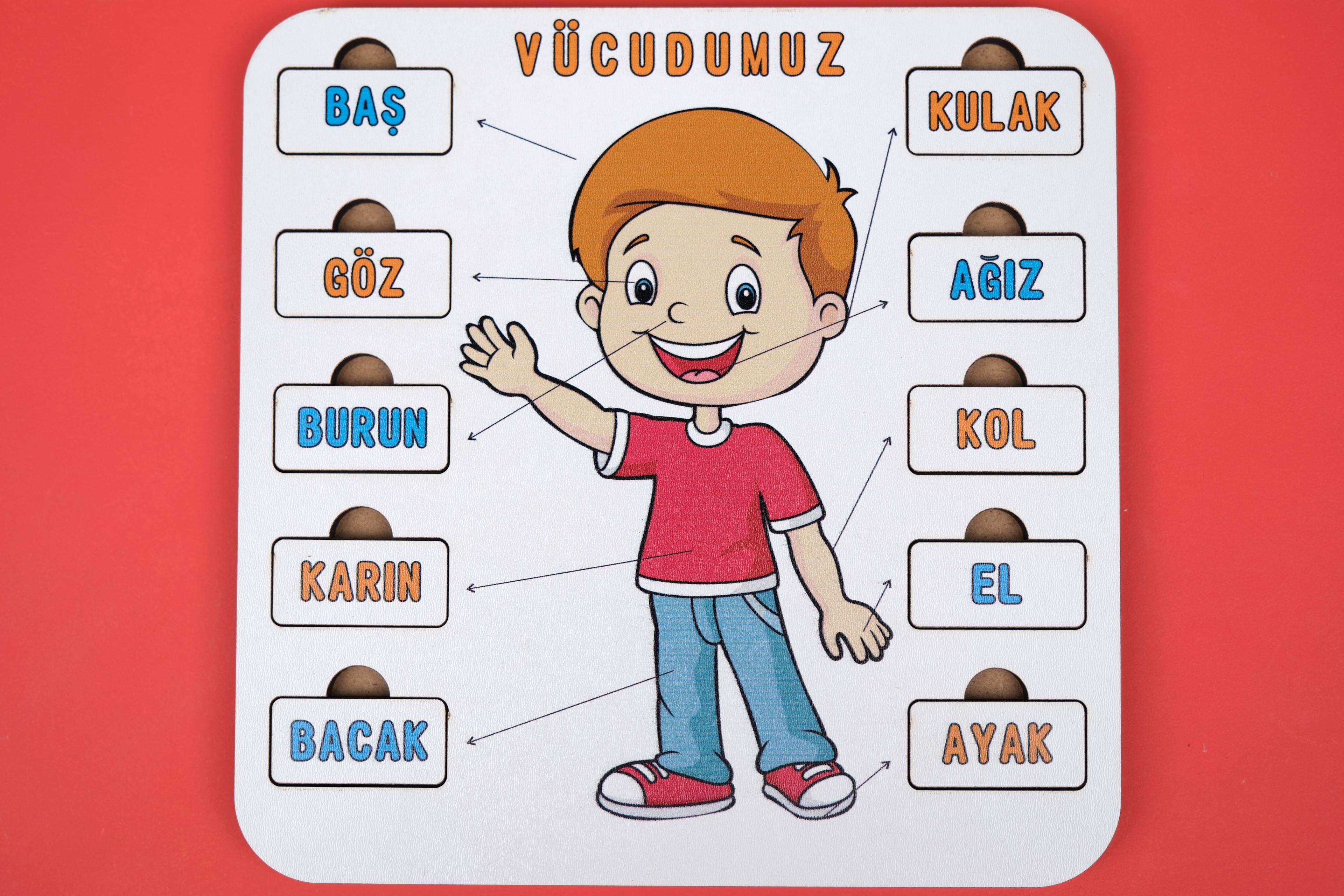 VÜCUDUMUZ | EĞİTİCİ PUZZLE