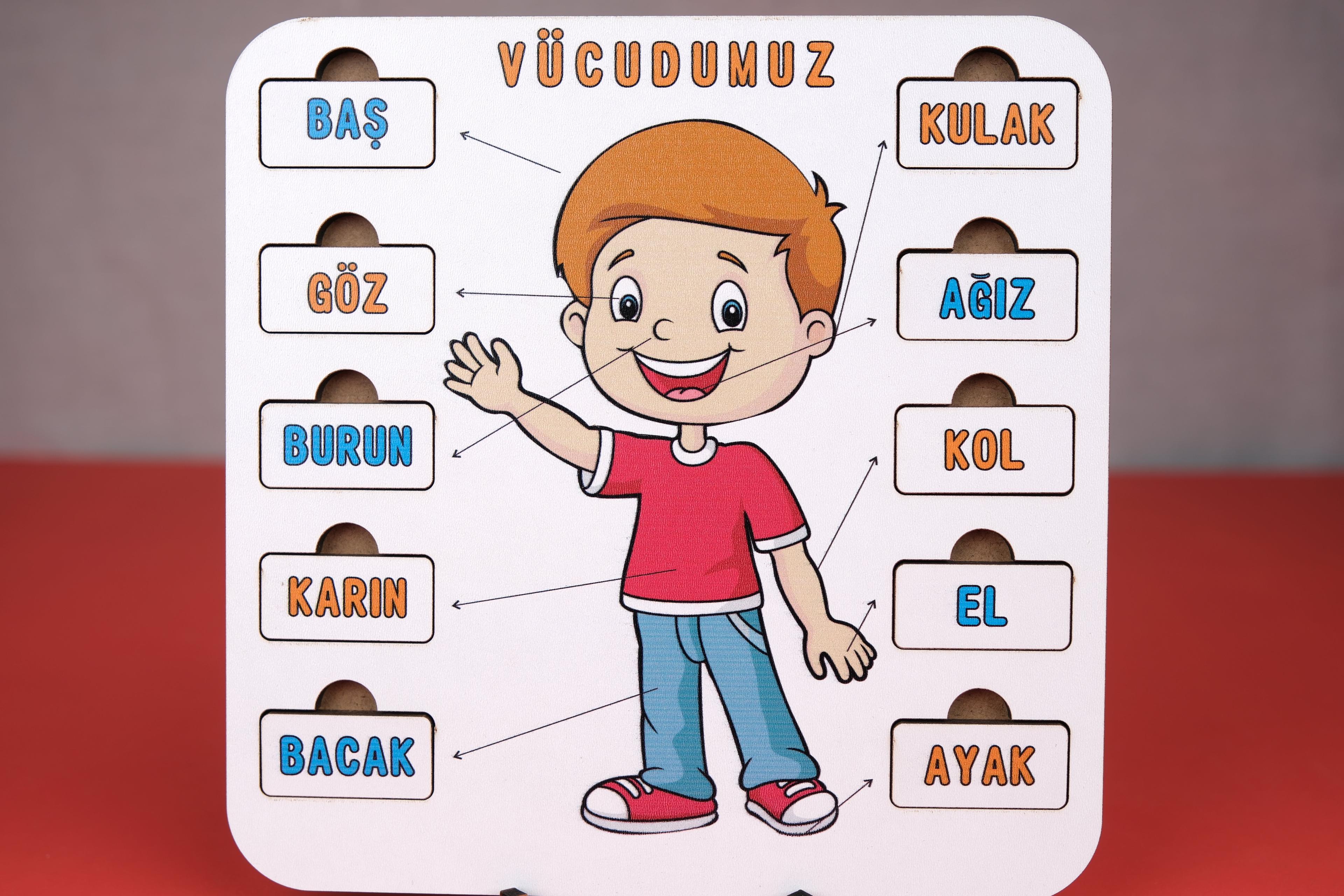 VÜCUDUMUZ | EĞİTİCİ PUZZLE