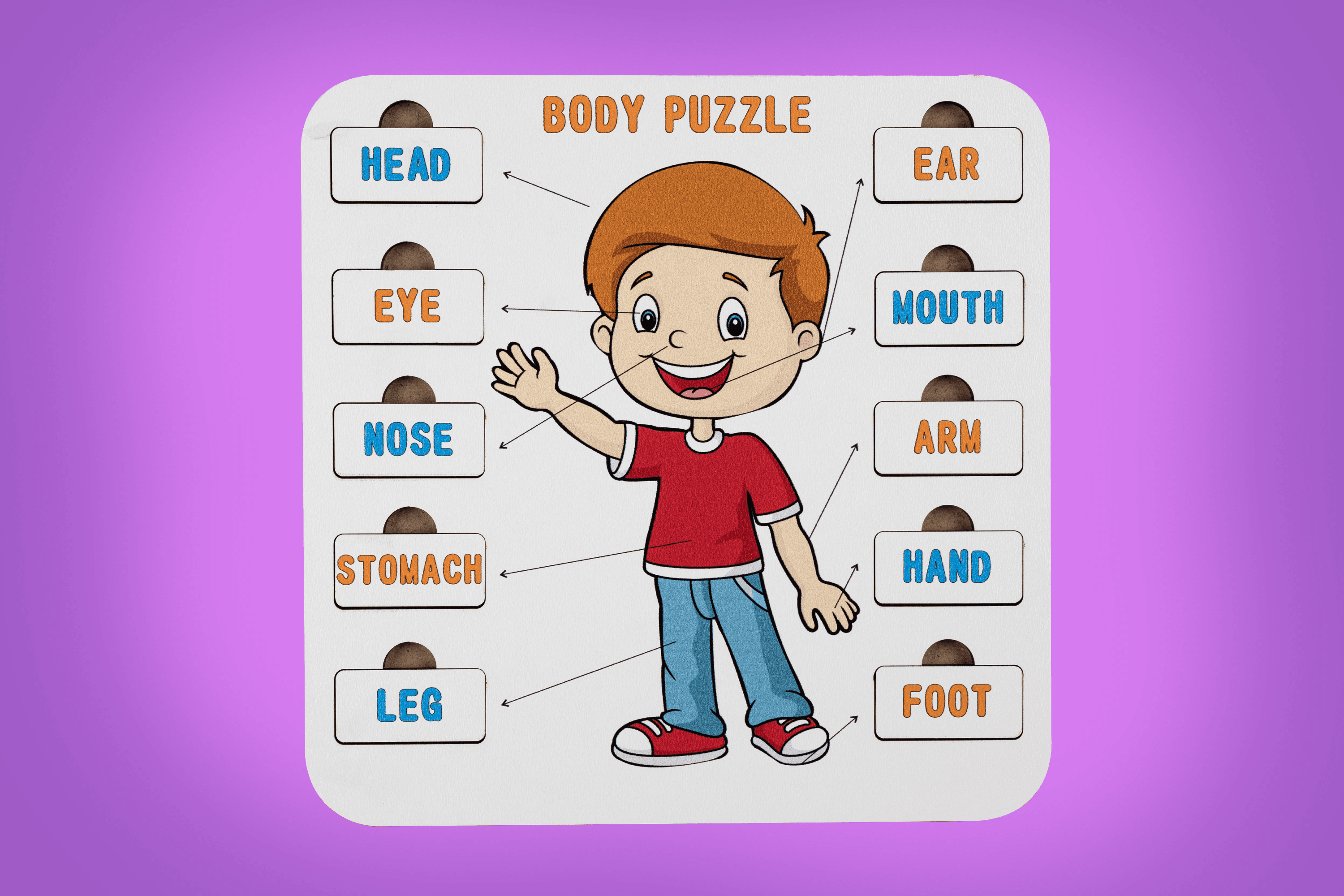 BODY (VÜCUT) | İNGİLİZCE ÖĞRETEN PUZZLE