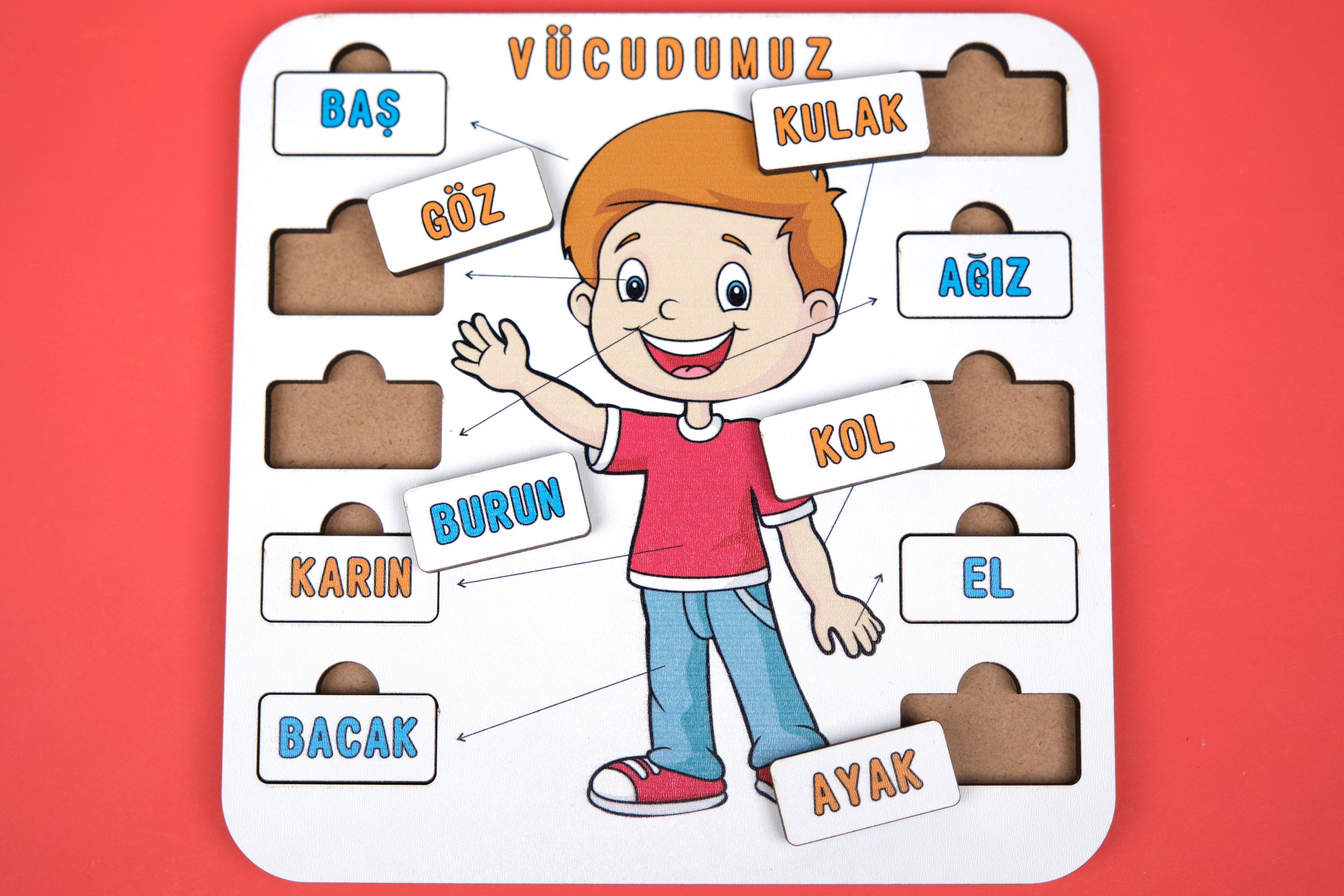 VÜCUDUMUZ | EĞİTİCİ PUZZLE