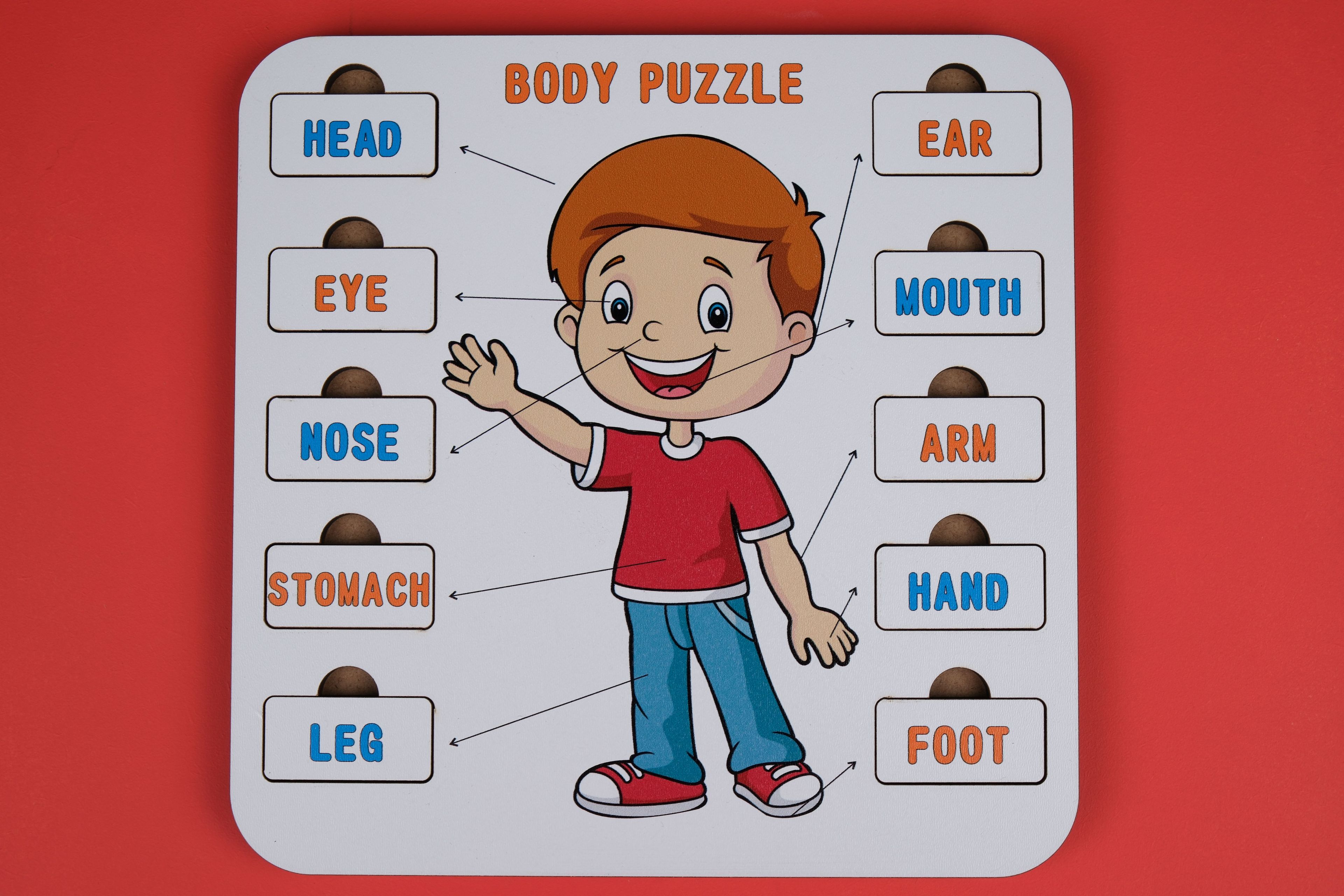 BODY (VÜCUT) | İNGİLİZCE ÖĞRETEN PUZZLE