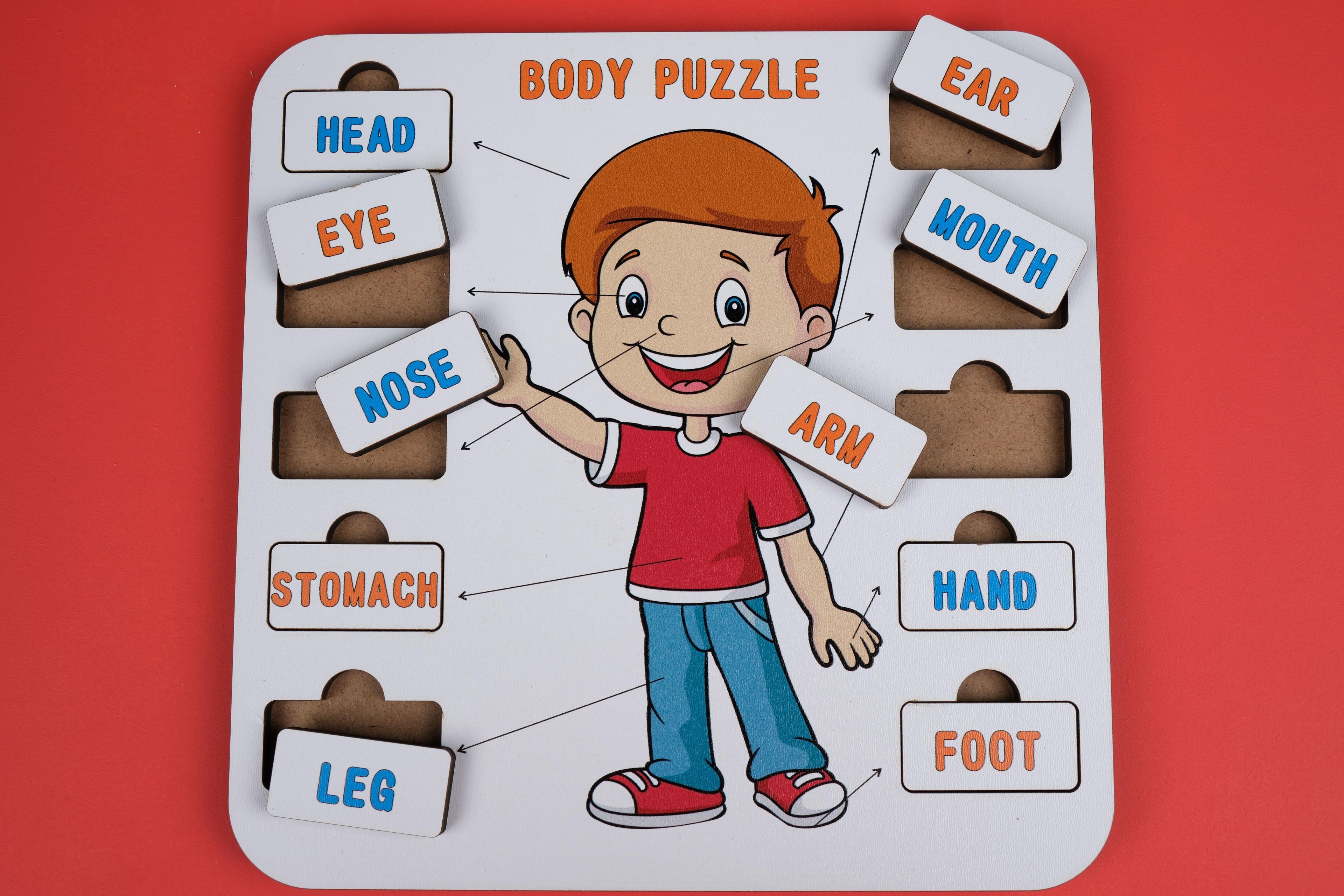 BODY (VÜCUT) | İNGİLİZCE ÖĞRETEN PUZZLE