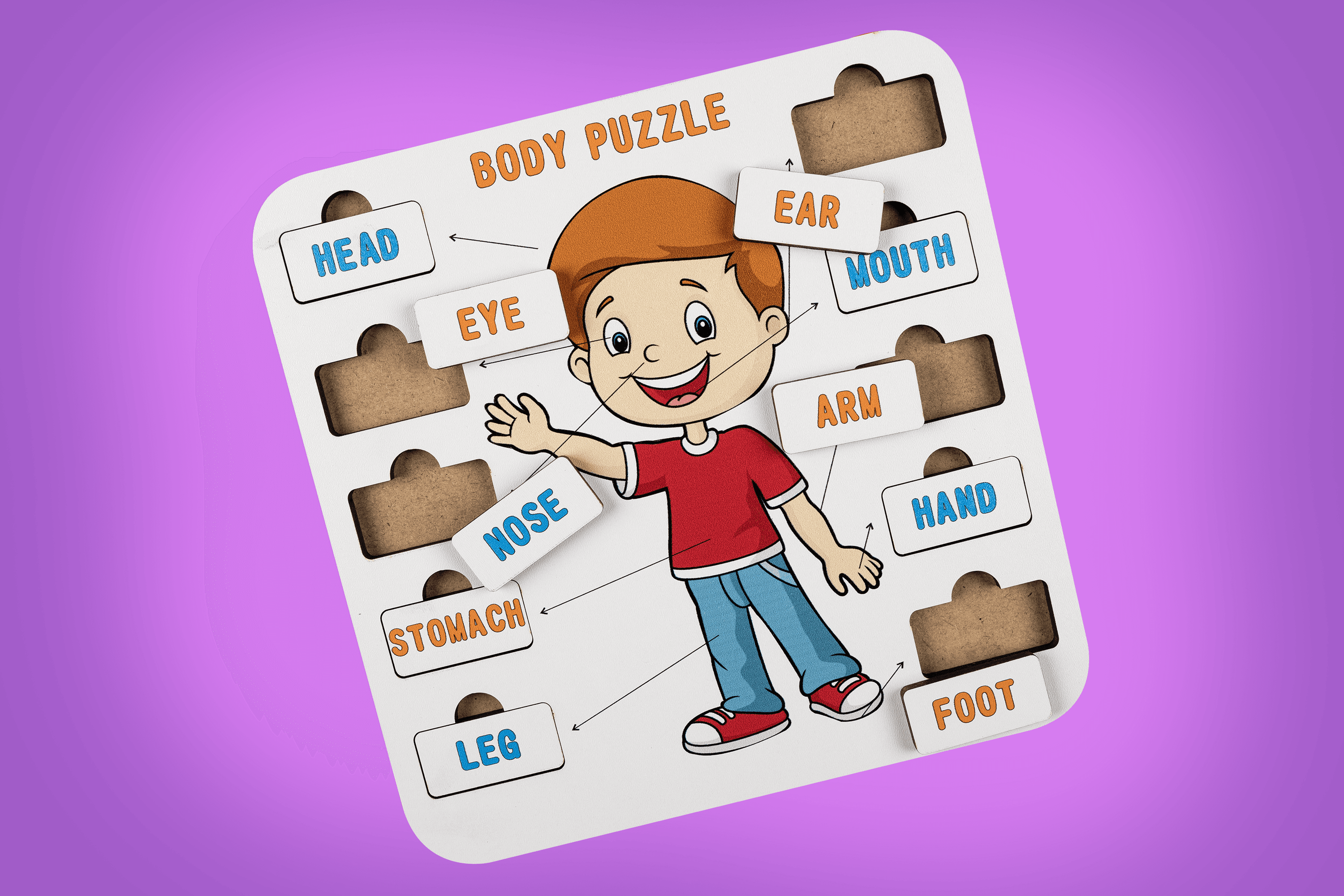 BODY (VÜCUT) | İNGİLİZCE ÖĞRETEN PUZZLE