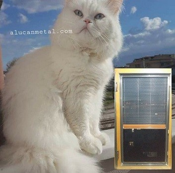 Pencerede dikey açılır sürgülü sineklik kedi için daha uygundur.